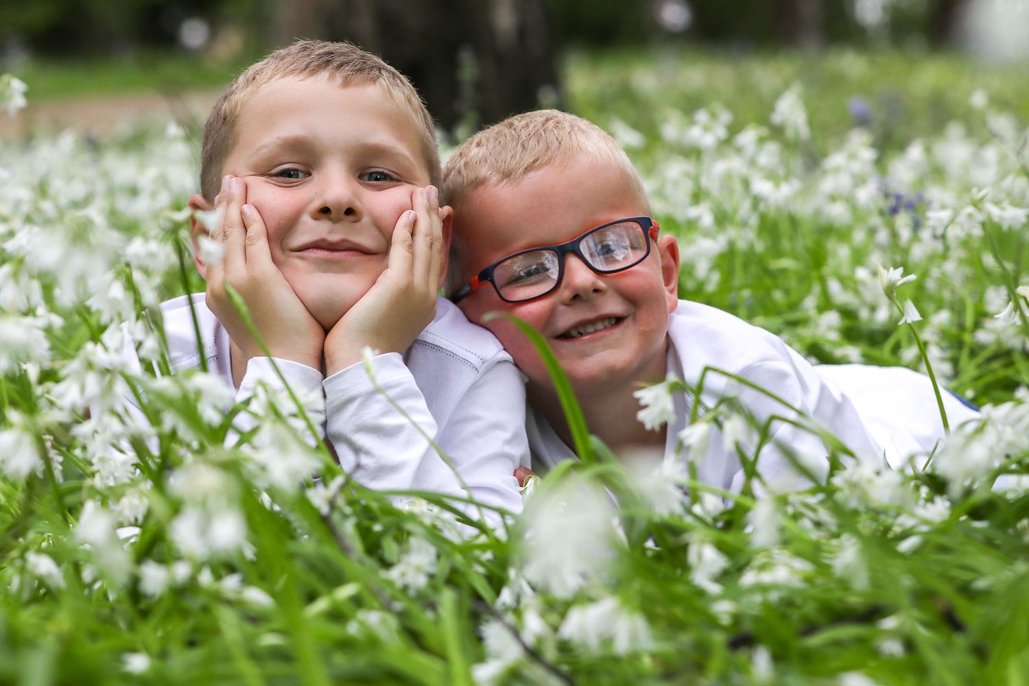 A playful scene captured in a field of white wildflowers on a sunny spring day.