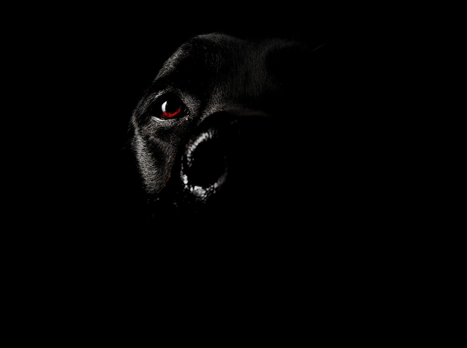 Dark menacing gorilla with glowing red eye and bared teeth emerging from shadows.