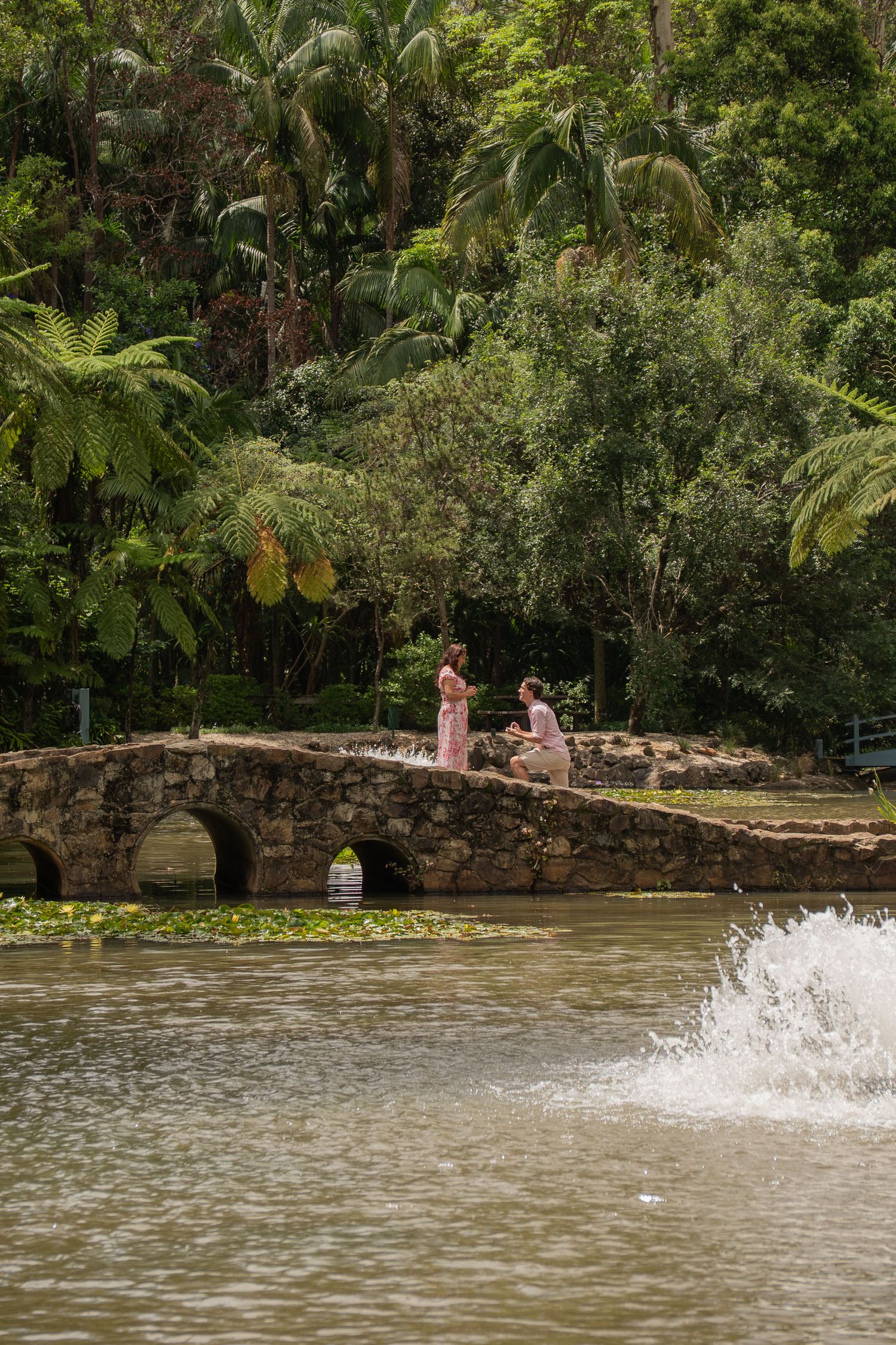 Couple during engagement session, proposing with lush greenery in the background - Photos by Bailey Rose Gold Coast