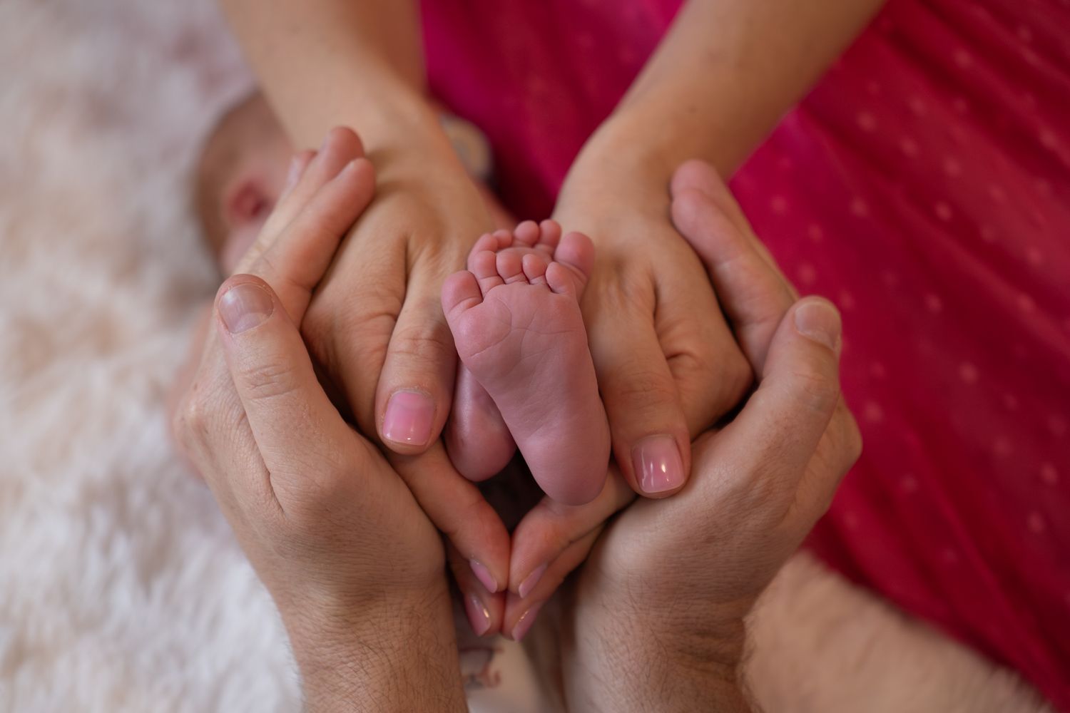 Close up of newborn baby feet held by parents natural light in home session — Photos by Bailey Rose Brisbane