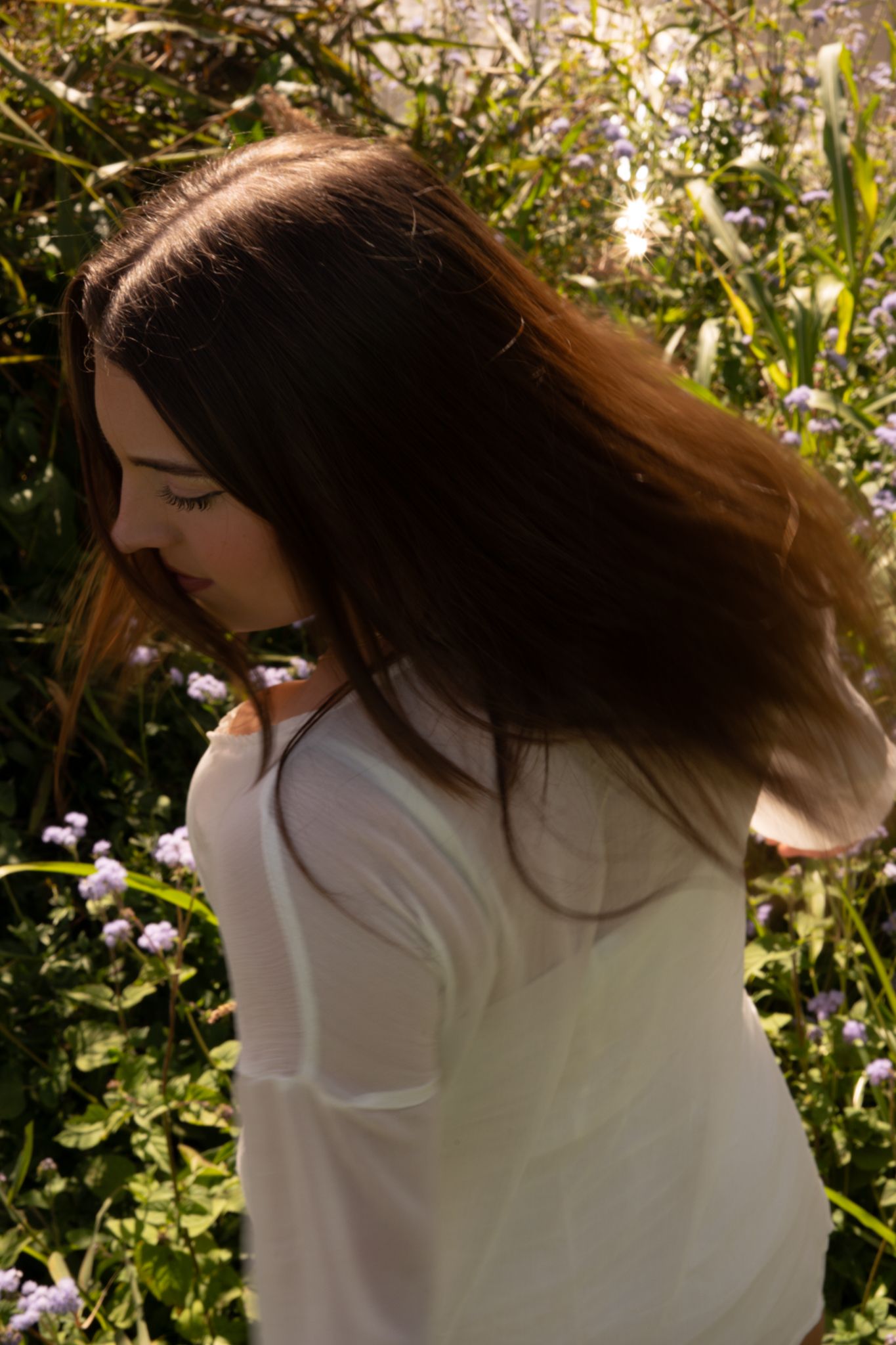 Solo portrait in wildflower field golden hour- Photos by Bailey Rose Brisbane