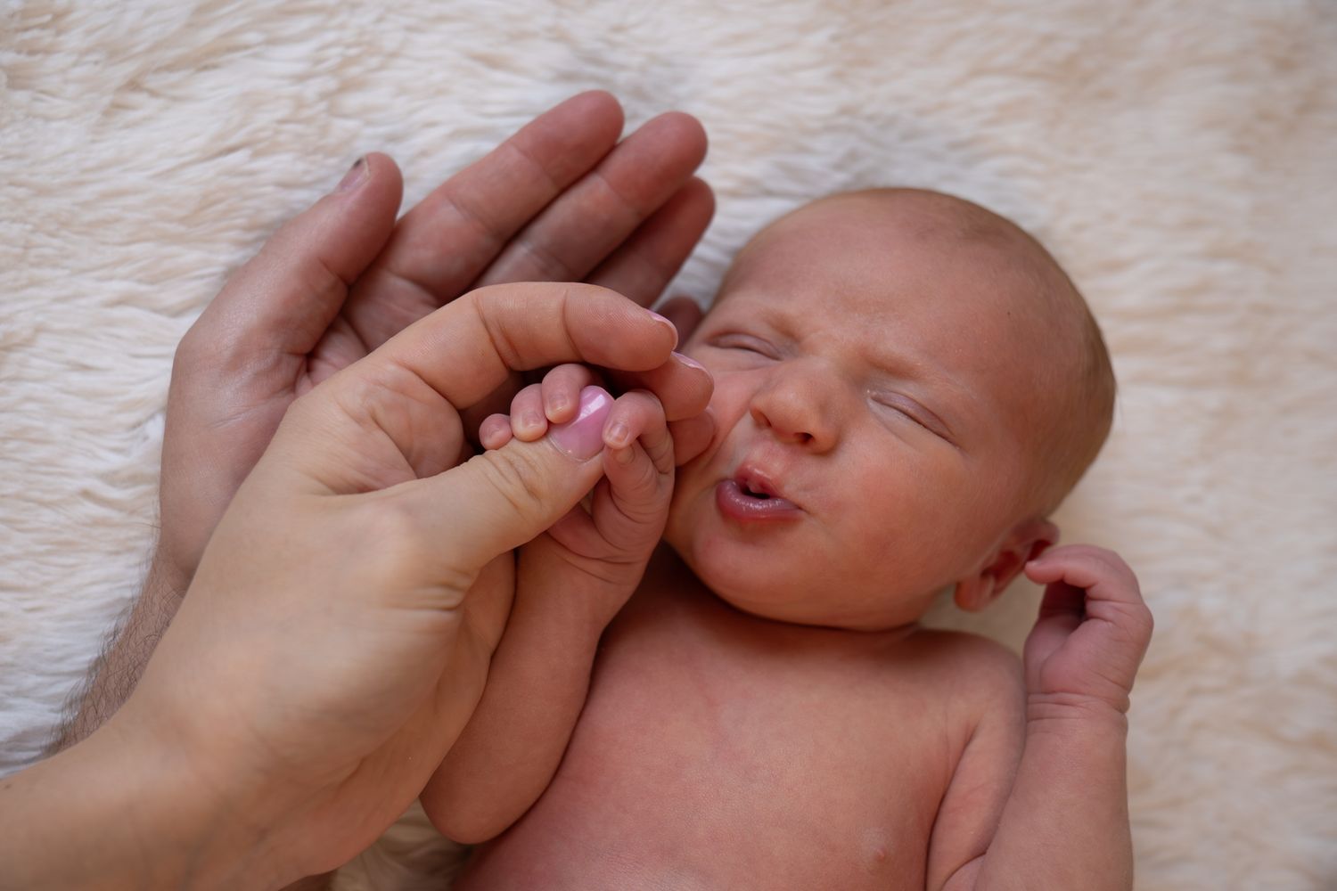 Close up of tiny newborn hands natural light in home session — Photos by Bailey Rose Brisbane