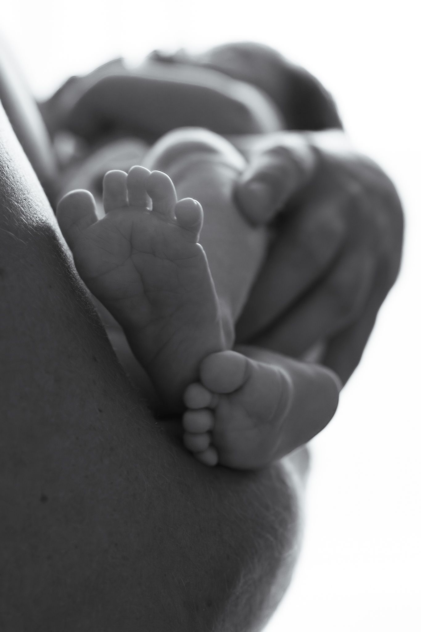 Newborn baby feet held in parents hands natural light black and white in home session  — Photos by Bailey Rose Brisbane