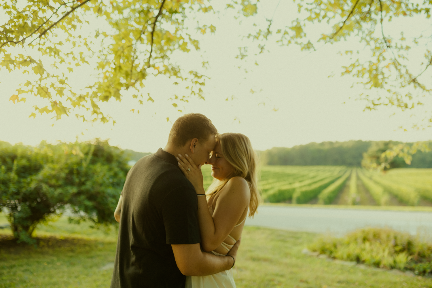 surprise proposal at a vineyard in Geneva On The Lake, Ohio
