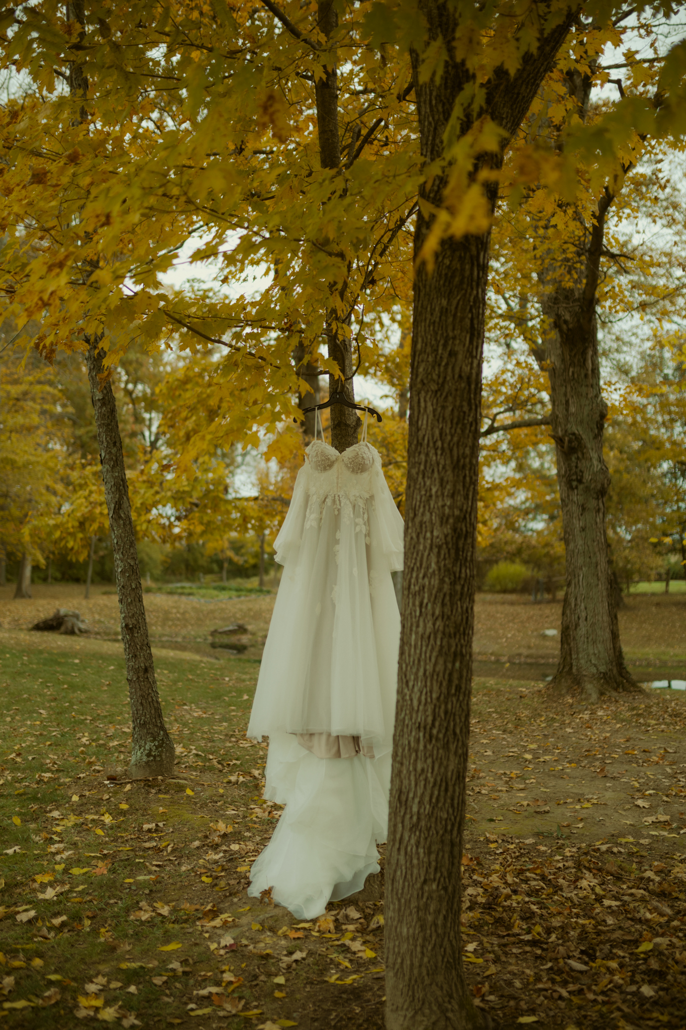 A white wedding dress hangs from a tree branch in an autumn forest with golden yellow leaves on the ground in Cincinnati Ohio