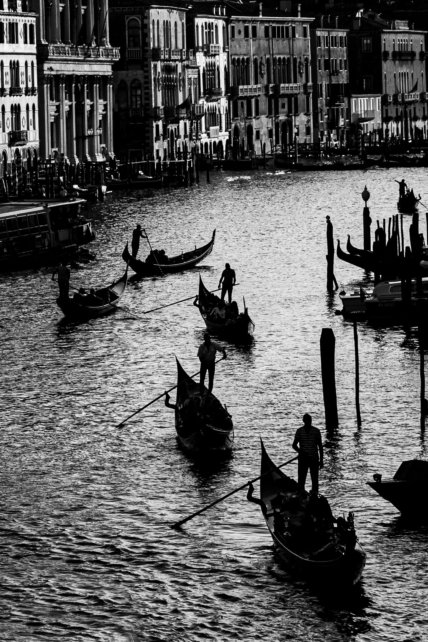 wedding-photographer-venice