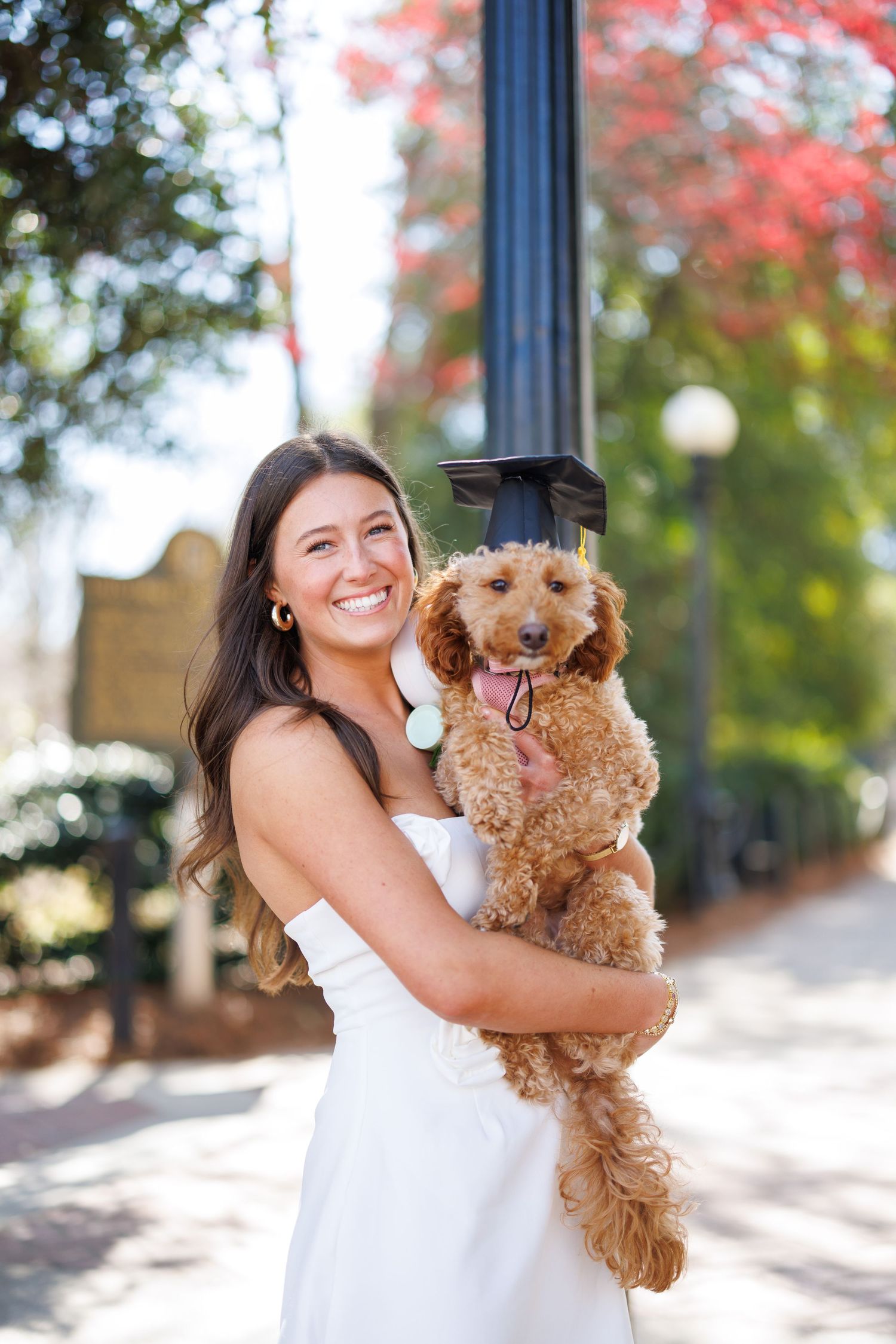 Graduate in white dress joyfully holds small brown dog during outdoor photo session.
