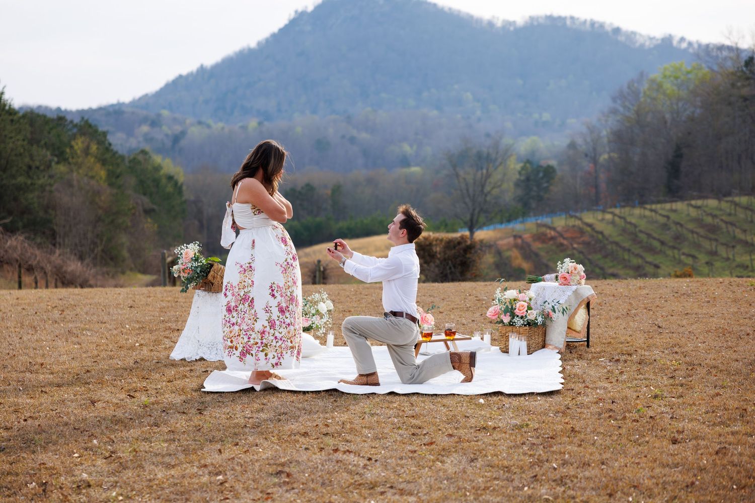 A group enjoys a picturesque picnic on a hilltop overlooking scenic mountain views and vineyards on a sunny day.