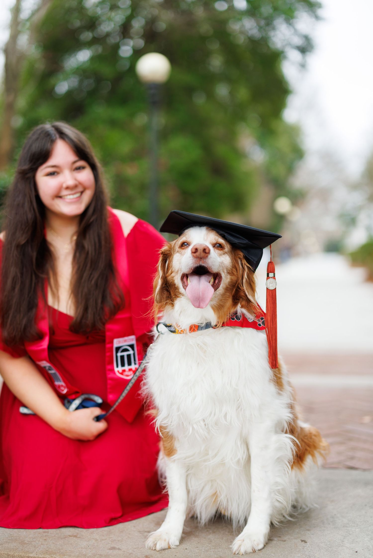 A series of four photos showing a person in a red shirt with a white fluffy dog on a paved outdoor surface.