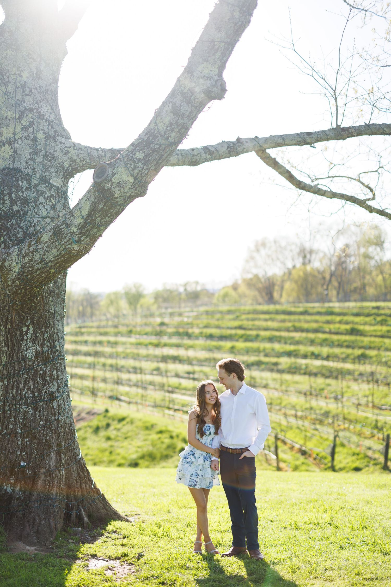 Couple walking together under large tree branches in sunny vineyard.