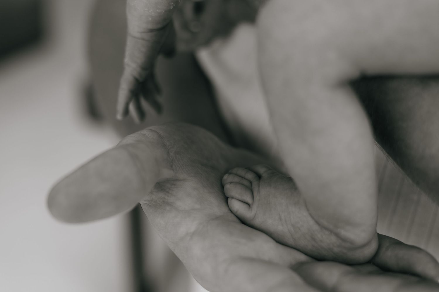 Black and white photo of a newborn baby's tiny foot resting gently in an adult's open palm.