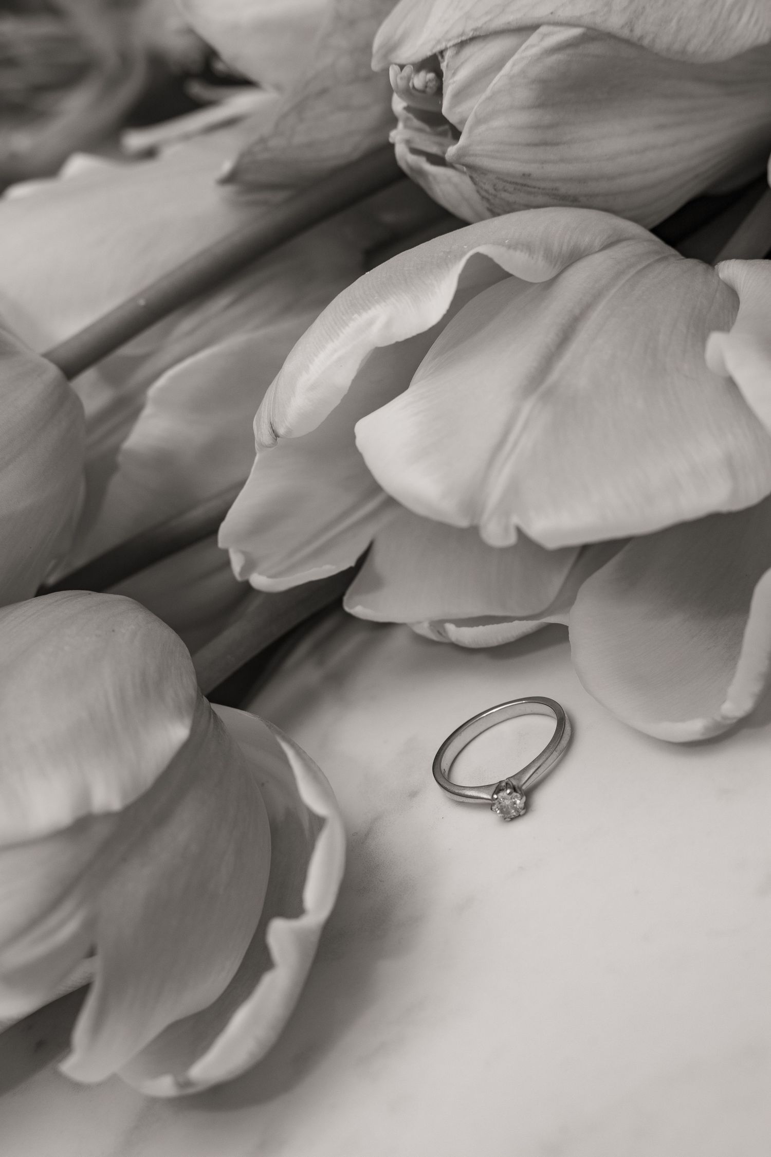 Black and white photo of a diamond solitaire engagement ring resting among tulip flowers on marble surface.