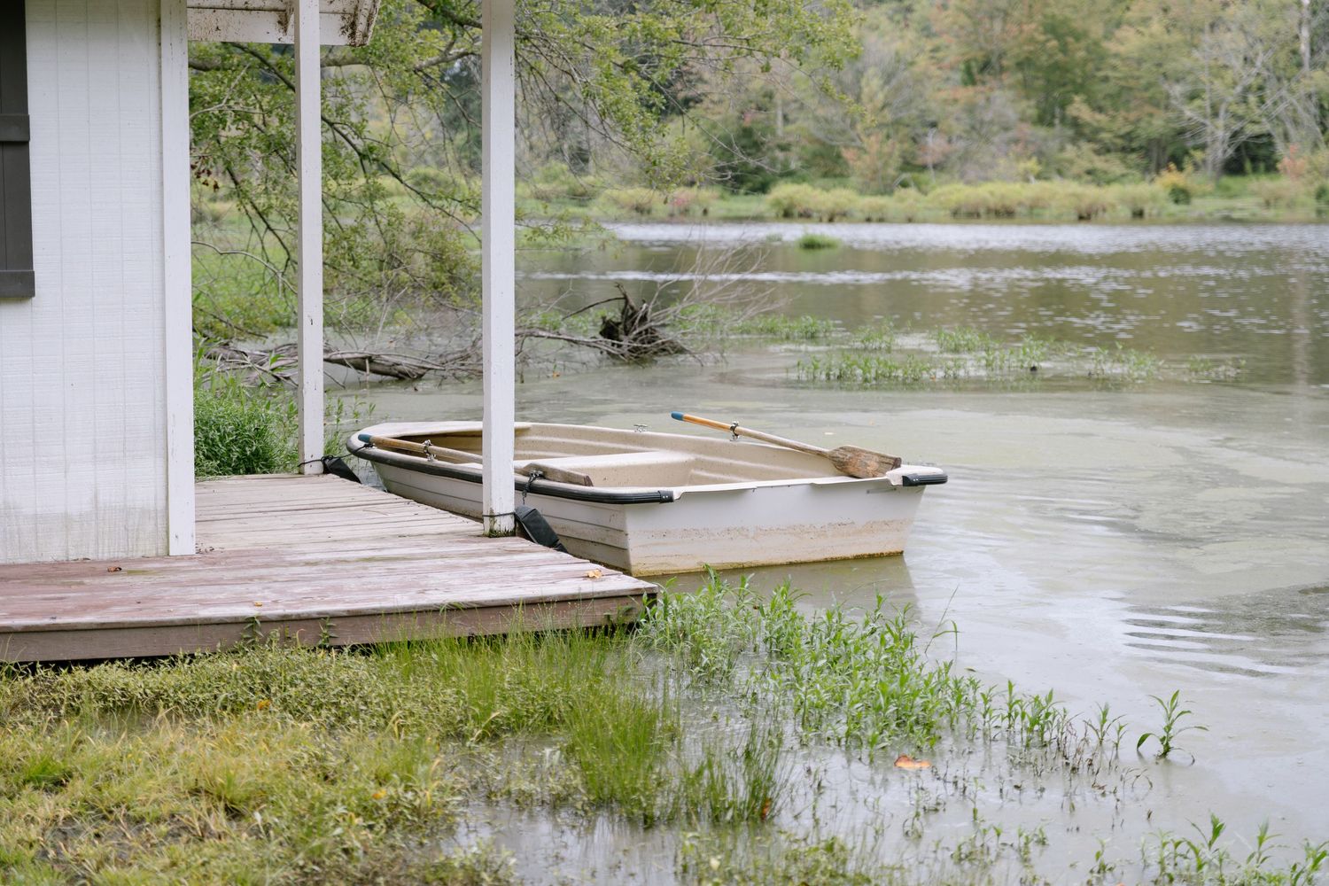 Rustic wooden dock with a small rowboat on a calm, algae-covered lake surrounded by lush green trees.