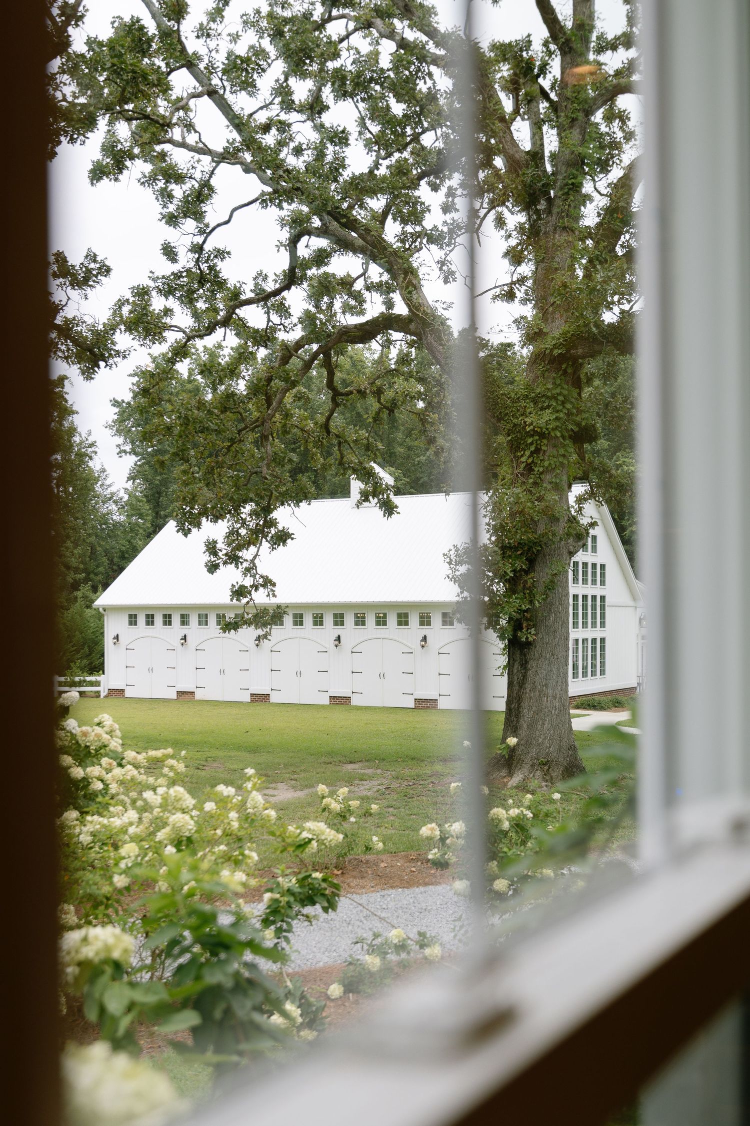White barn wedding venue viewed through a window with blooming hydrangeas and oak trees on a lush green estate.