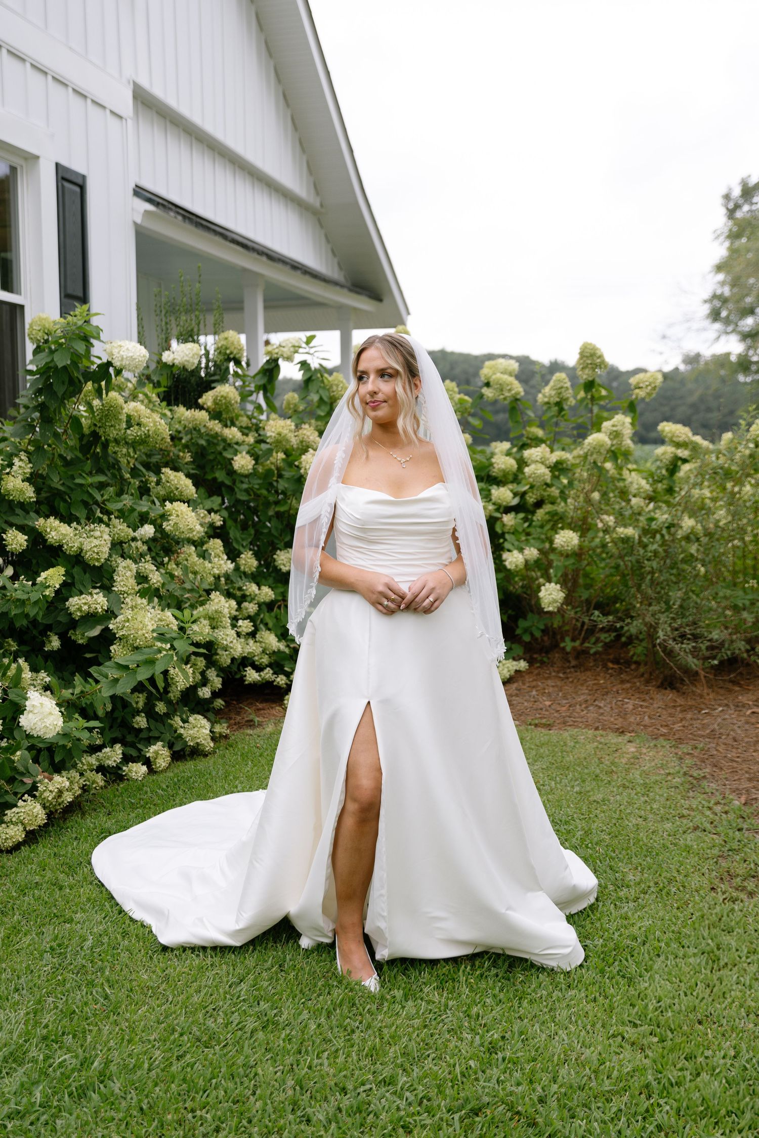 Bride in off-shoulder white satin gown with cathedral veil standing before blooming hydrangea bushes at outdoor venue.