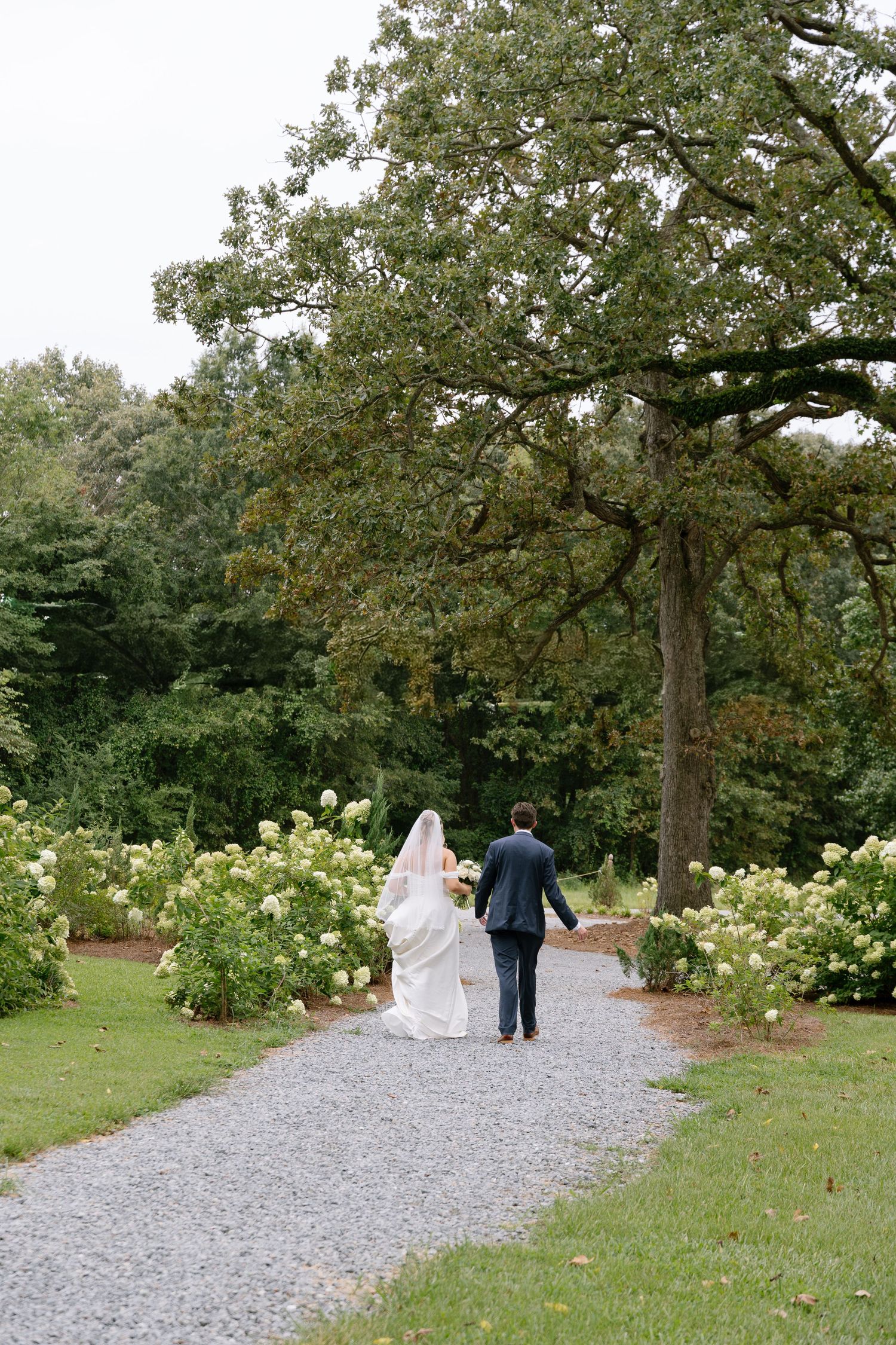 Bride and groom walking hand in hand down a gravel path lined with white hydrangeas in a garden.