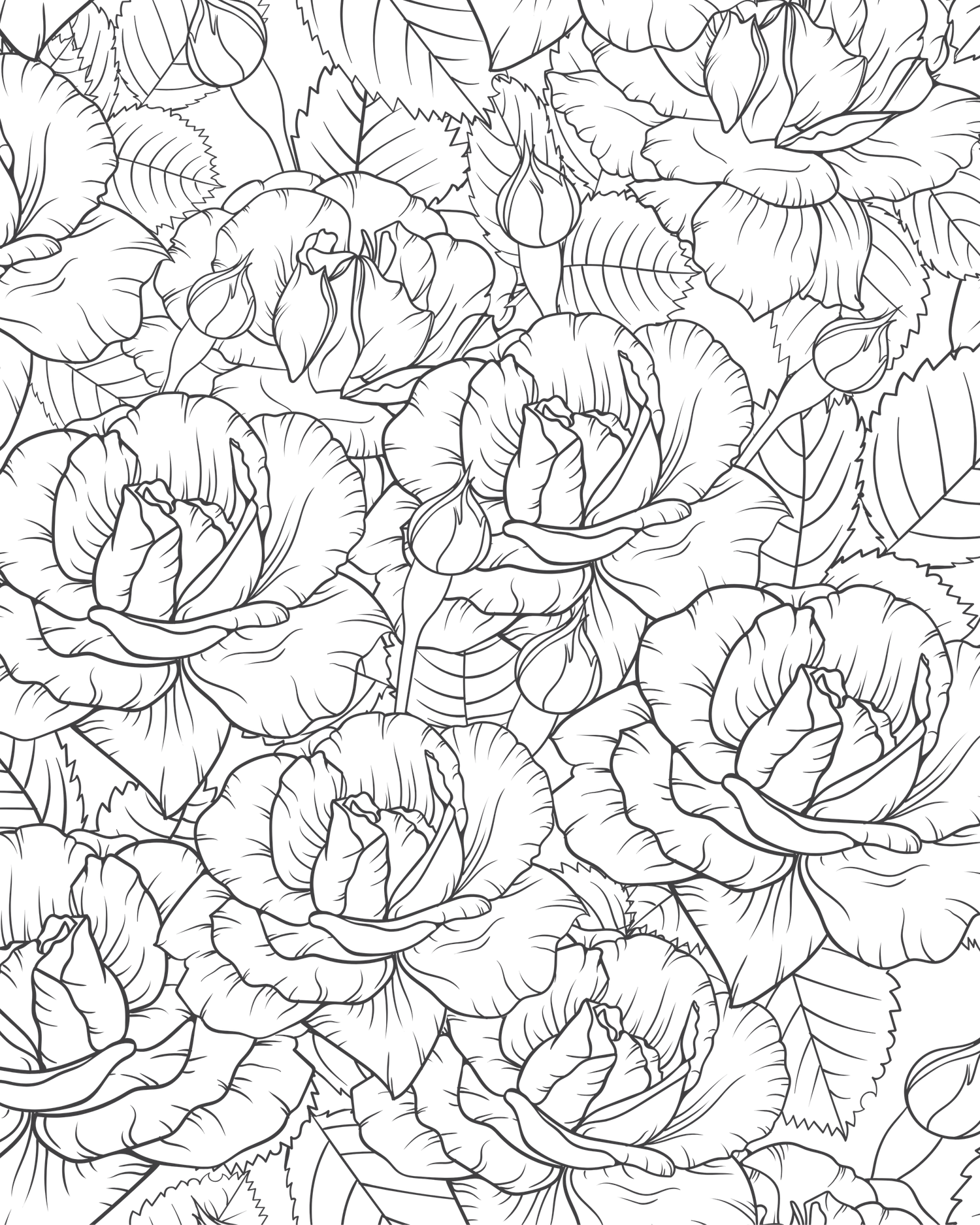 Intricate black and white floral coloring page with large roses and leaves design.