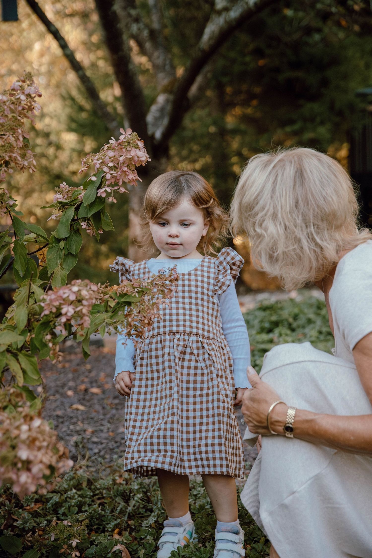 Elderly woman and toddler girl in plaid dress exploring flowering shrubs in a sunlit autumn garden.