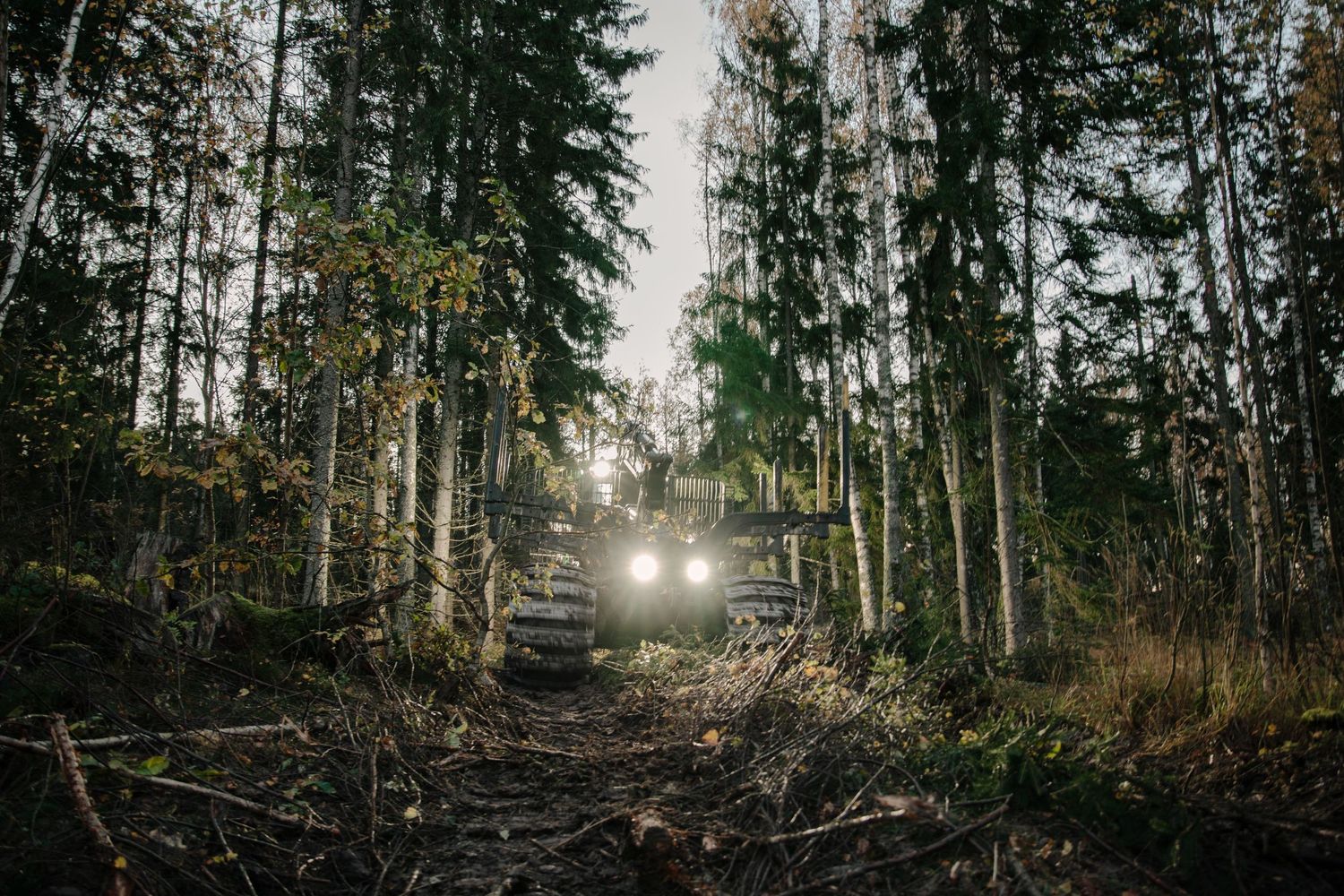 Skotare kör i skogen.