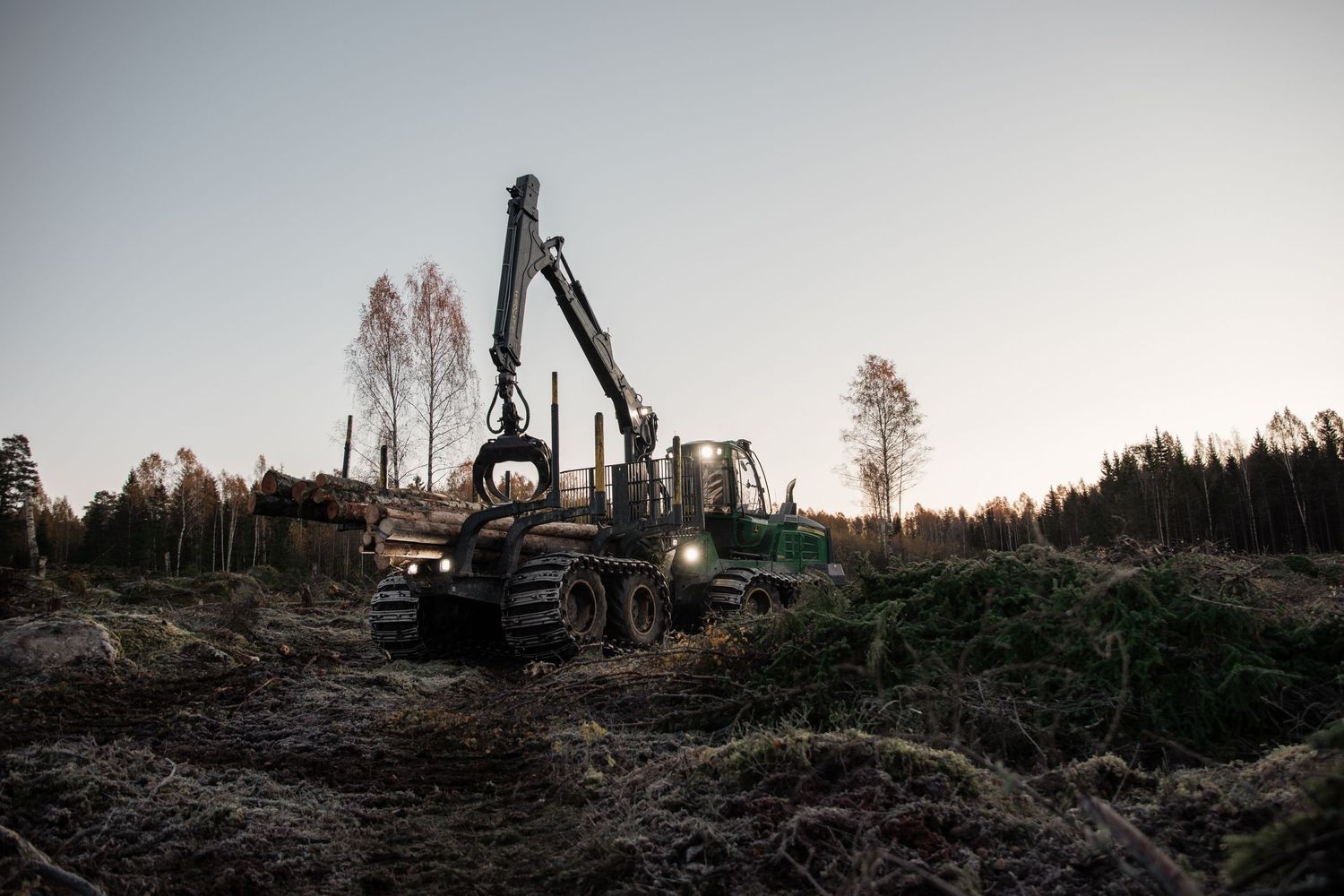 Skotare kör på hygget i skogen och hämtar timmer.