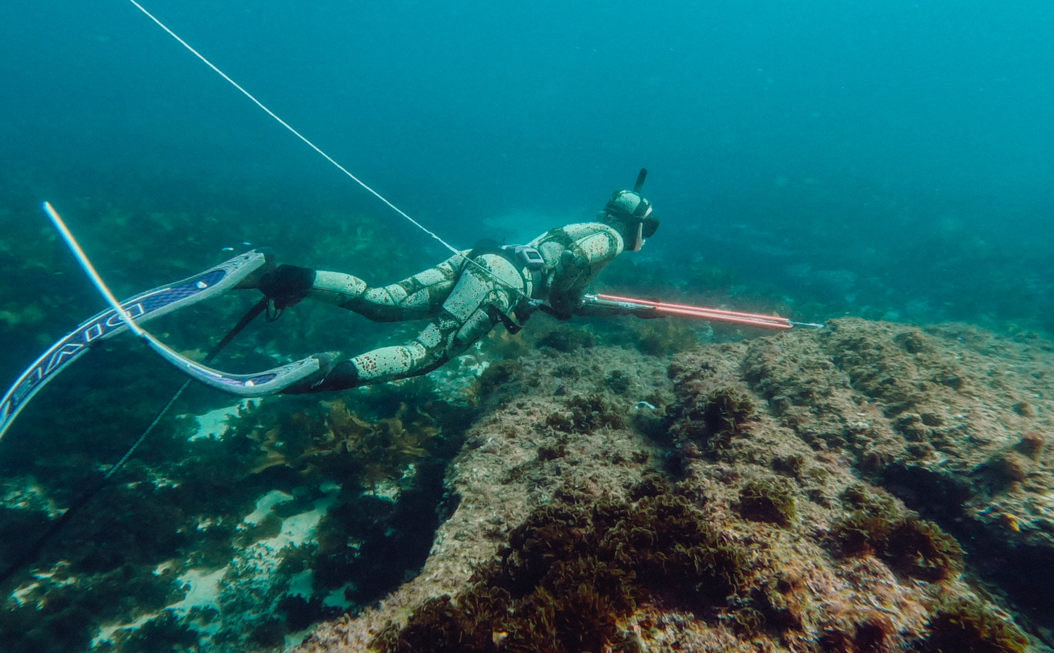 Professional underwater and ocean photography and videography Underwater scene showing scuba diver exploring coral reef in clear blue water.