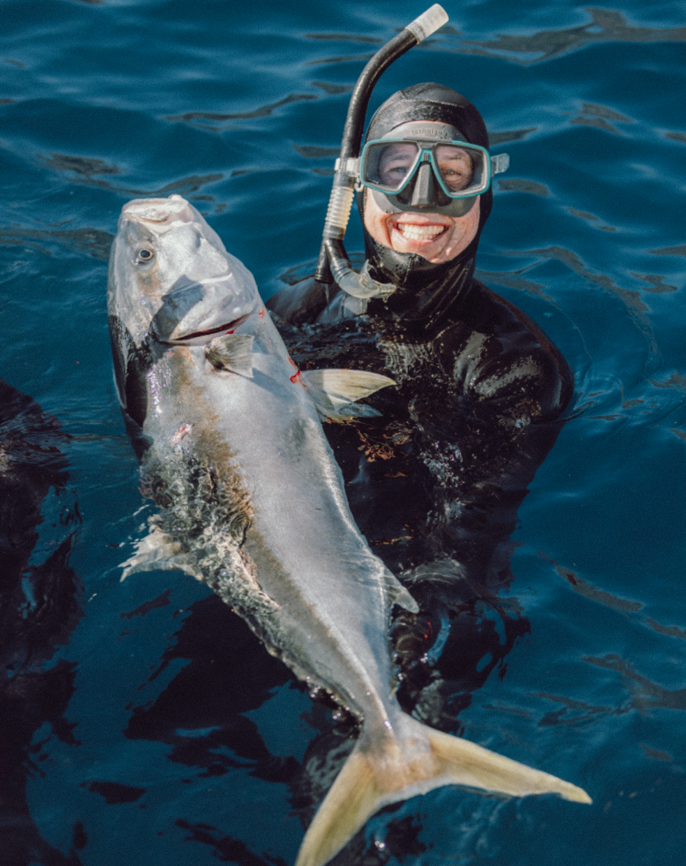 Professional underwater and ocean photography and videography Diver holding large caught fish while swimming in blue ocean water. Kingfish