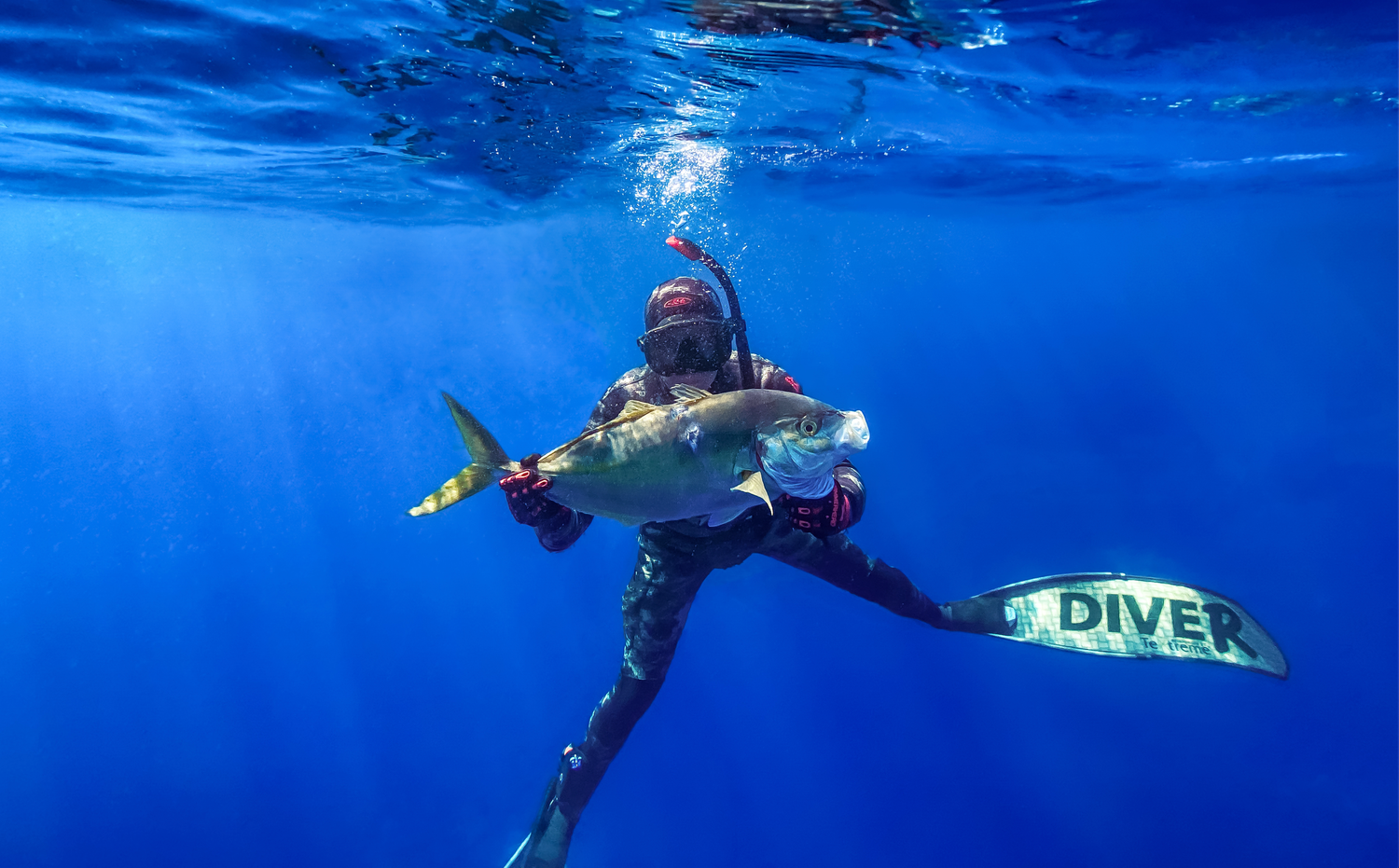Professional Underwater photography and videography of spear fisherman swimming in deep blue ocean water.