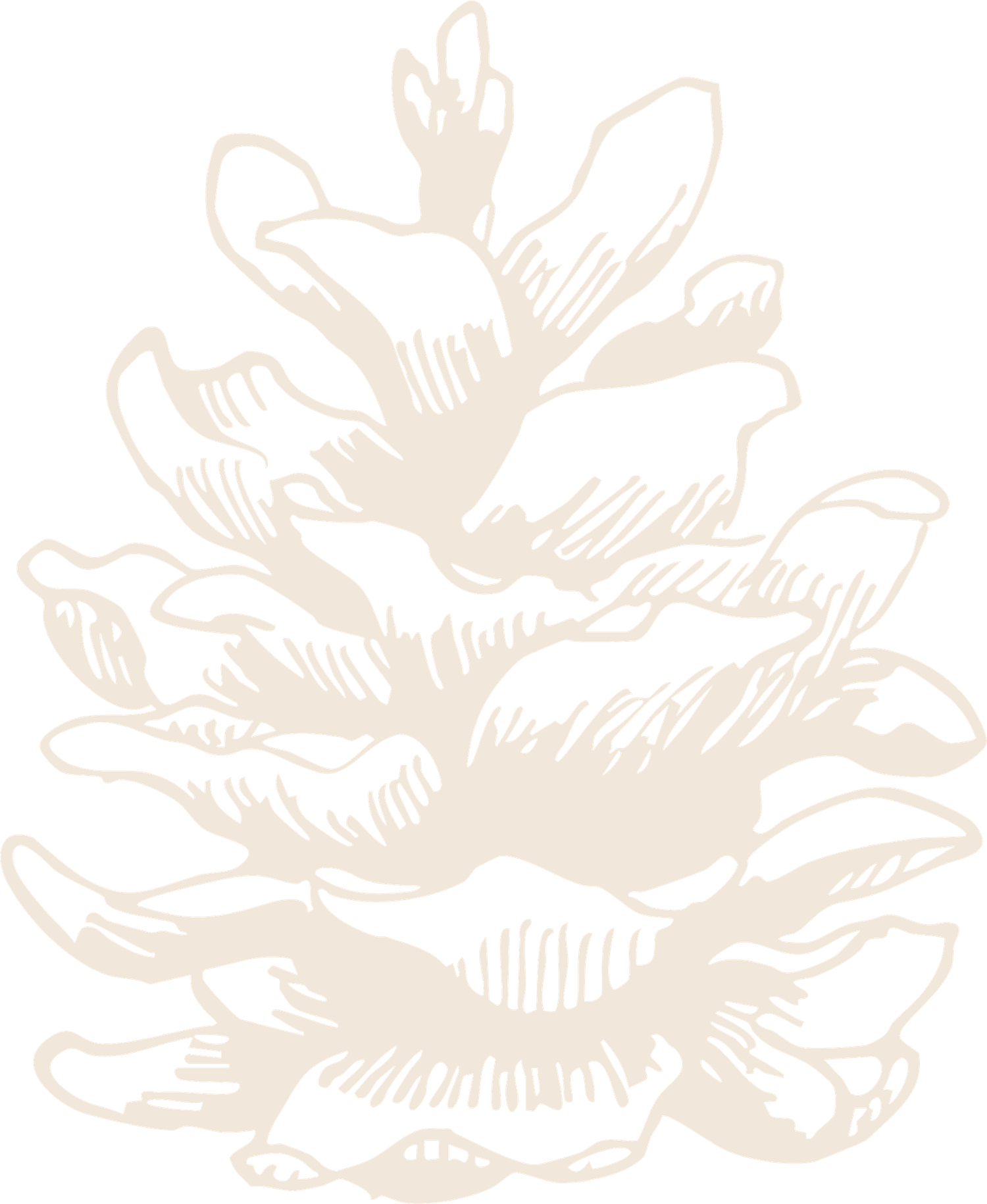 Delicate floral pattern with light beige botanical illustrations.