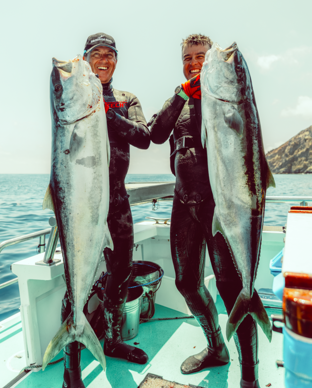 Massive Yellowtail kingfish caught spearfishing captured by photography and videography documentary and film