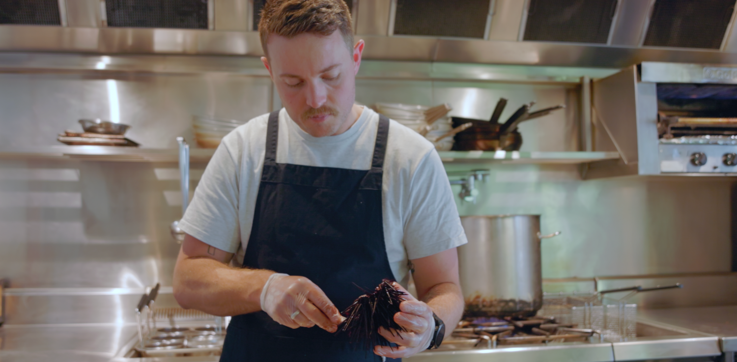 Restaurant Documentary Videography still of sea urchin being plated in a restaurant kitchen Sutherland Shire restaurant Fior