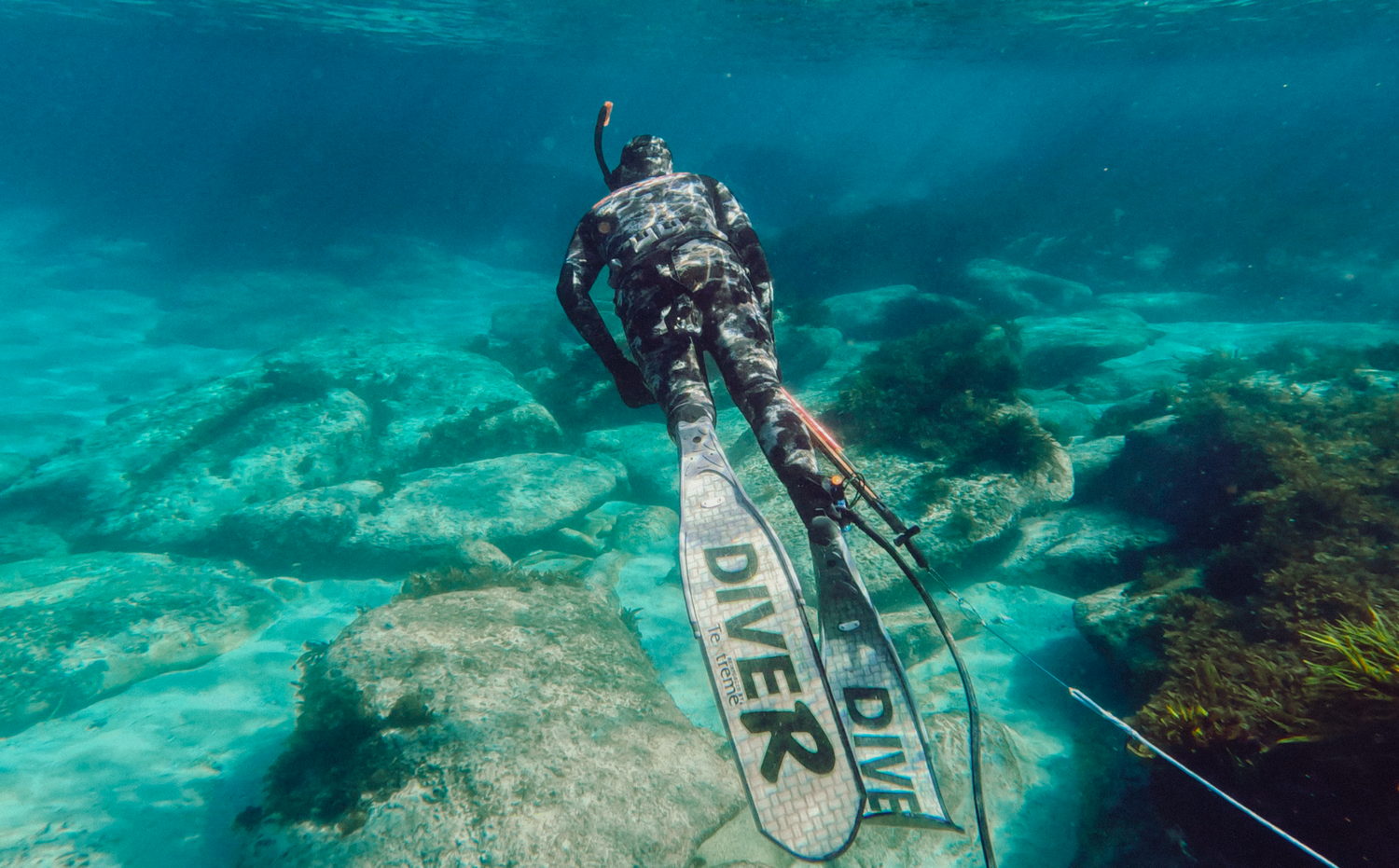 Professional underwater and ocean photography and videography Underwater view of scuba divers exploring coral reef Sydney Cronulla