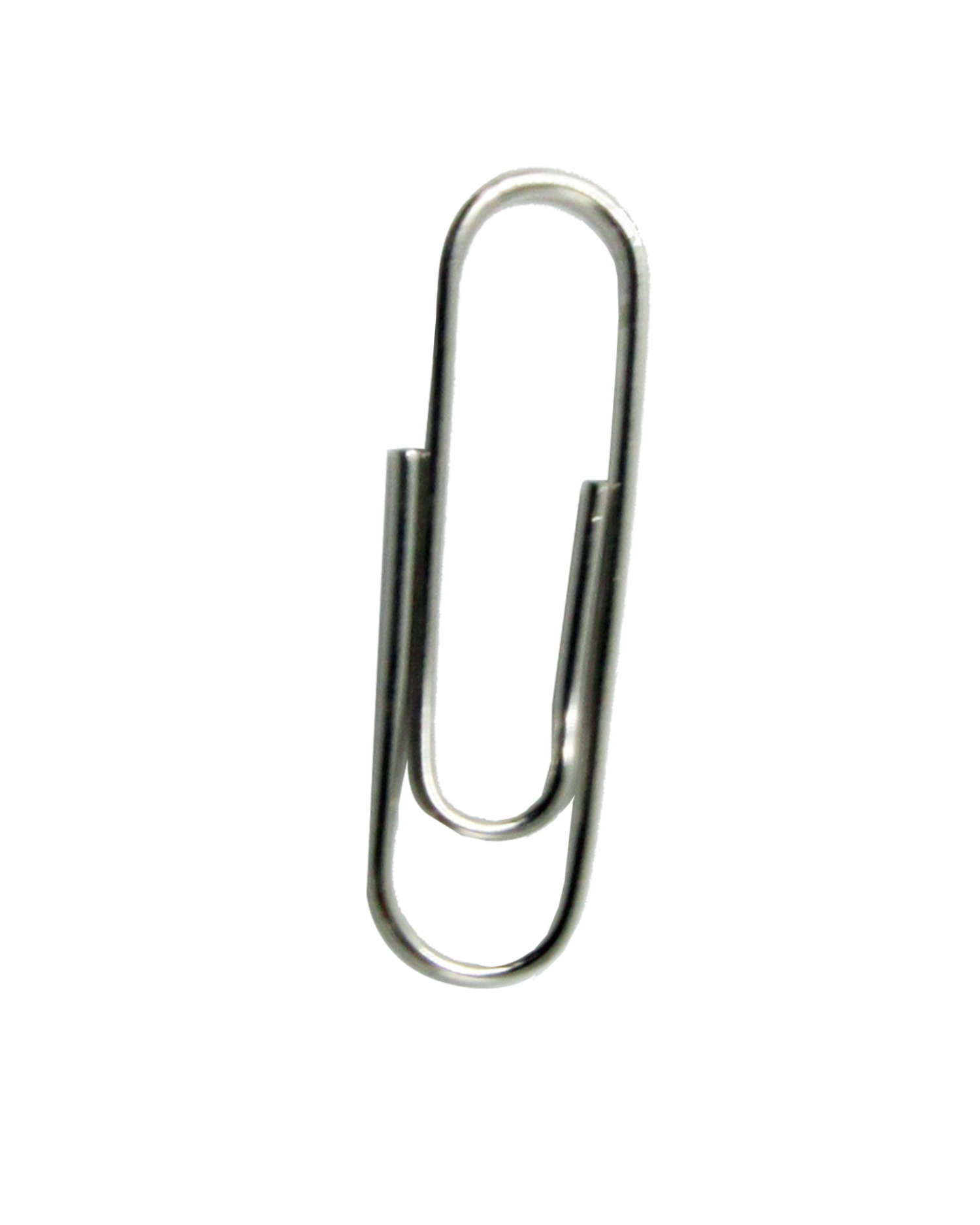 A shiny silver metal paper clip on a white background. Sutherland Shire photographer