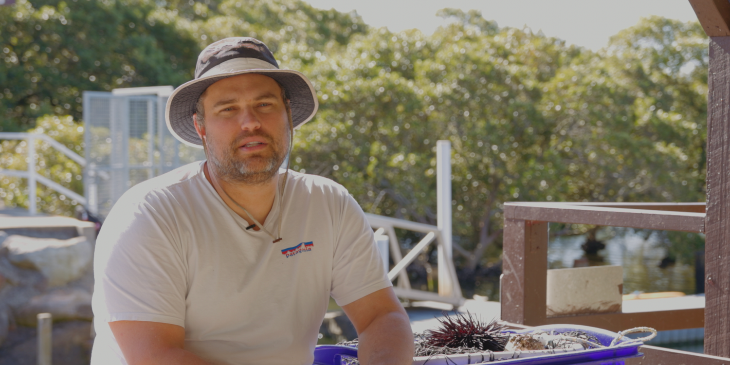 Sutherland Shire based videographer captures documentary of Outdoor dining setup with people enjoying meals at a waterfront restaurant.