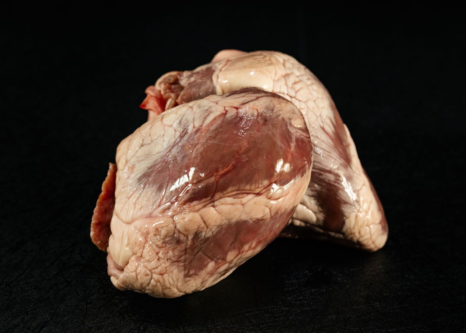 Raw whole pig heart on a dark background, showing natural anatomy with pale and dark red tissue.