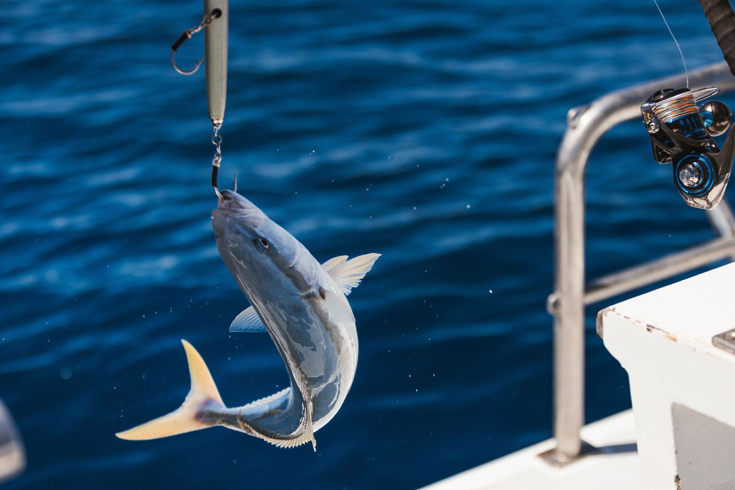 A freshly caught tuna fish hanging from a hook on a fishing boat with blue ocean water in the background.
