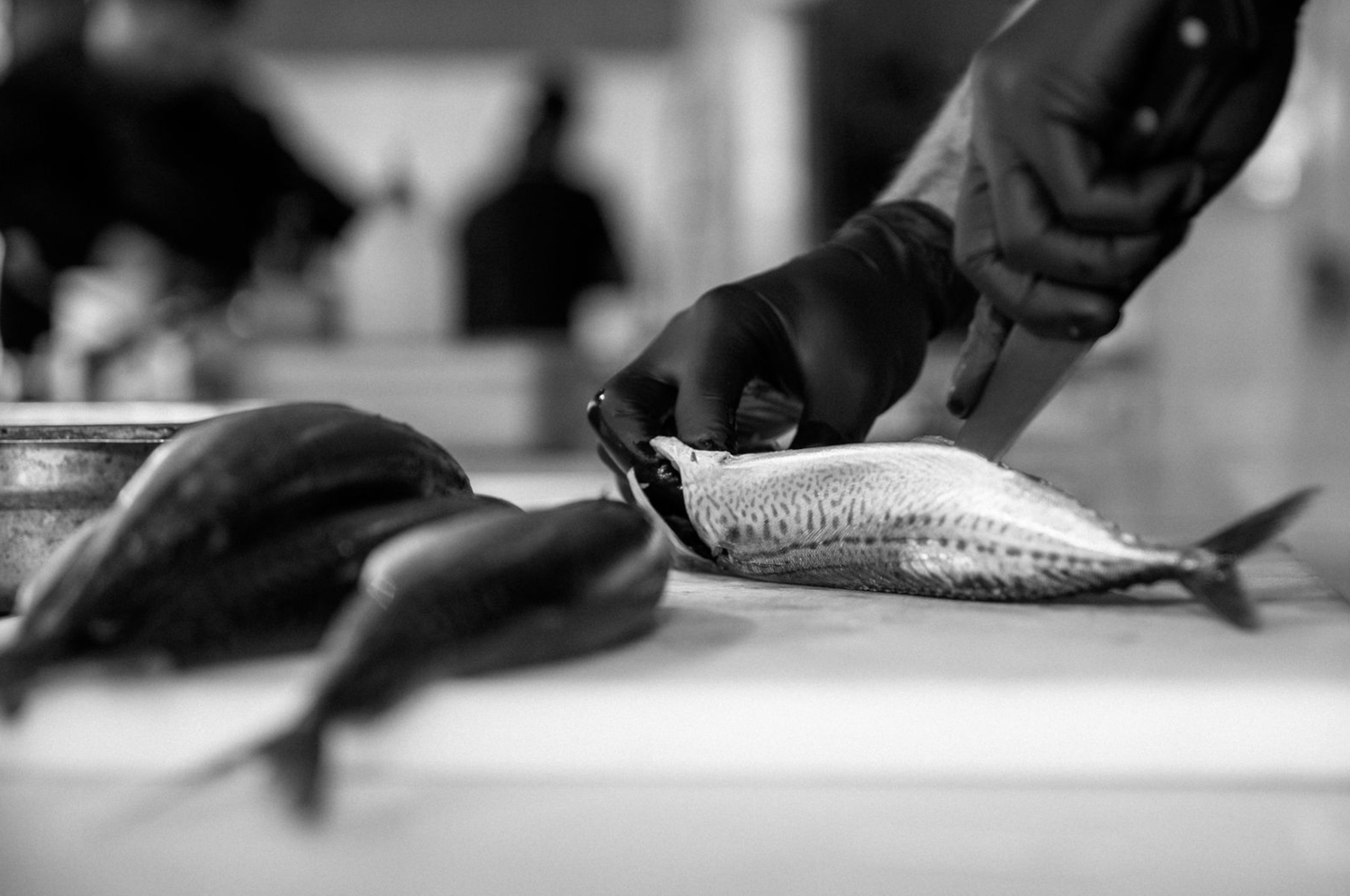 Fish filleting macro photography black and white photos Hands preparing fresh fish on a white cutting board in a kitchen setting.