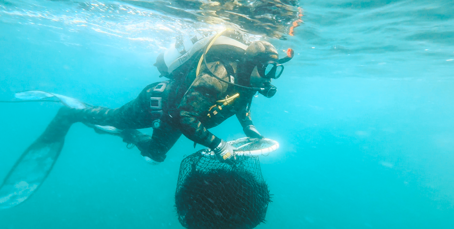 Sutherland Shire based videographer captures underwater footage Scuba divers exploring underwater with camera equipment in turquoise waters.