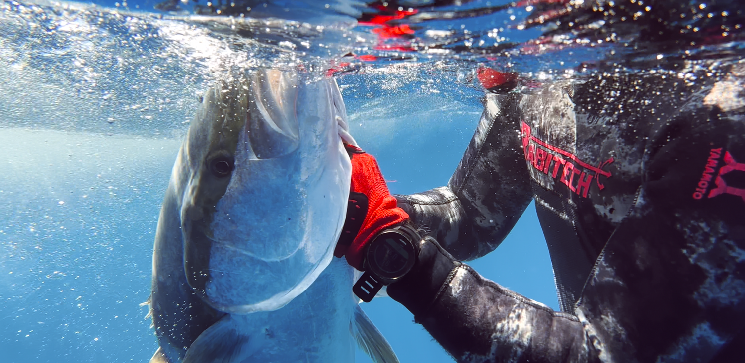 Underwater photography and videography scene with blue water and red lighting effects. Documentary and film still.
