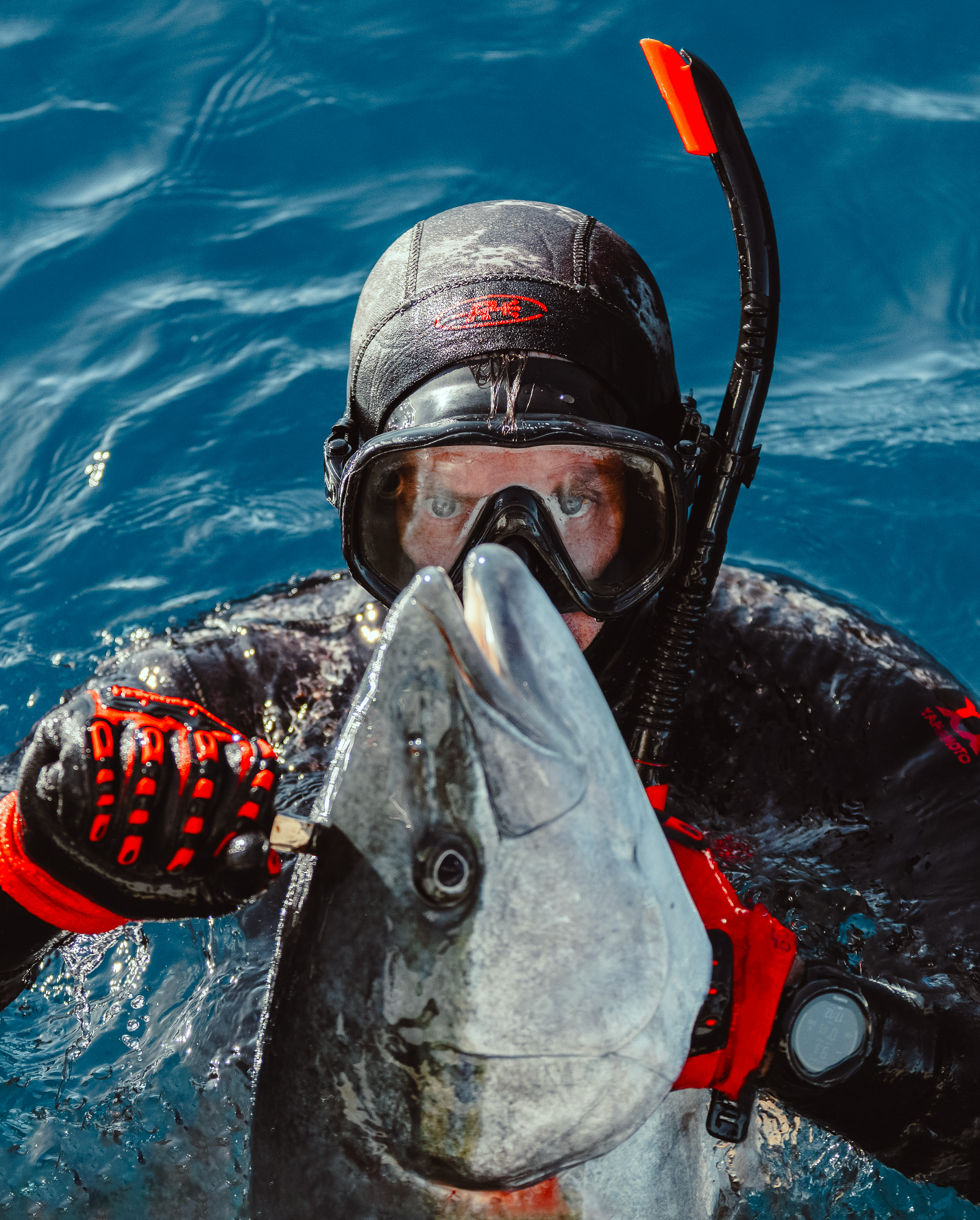 Professional Underwater photography and videography spearfishing diver in black wetsuit with red gear holding large fish in ocean water.