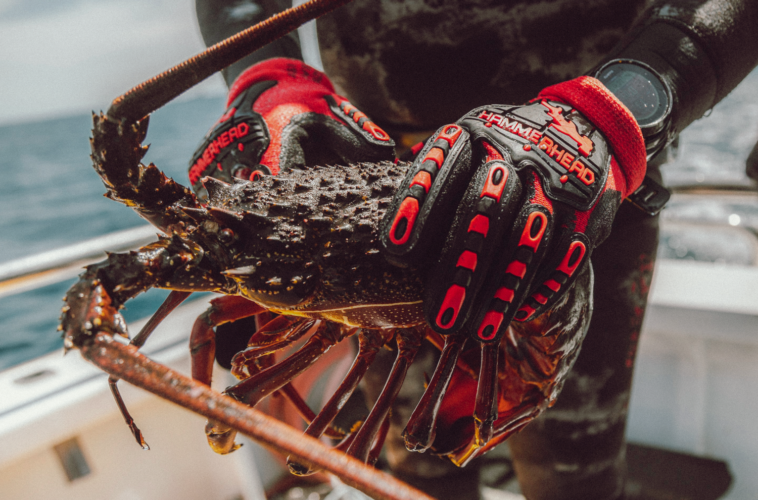 Professional underwater and ocean photography and videography Red diving gloves handling marine equipment against ocean background.