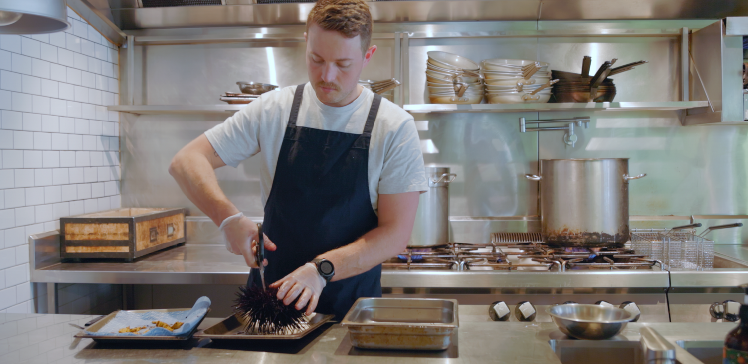 Restaurant Documentary Videography still of sea urchin being plated in an restaurant kitchen Sutherland Shire restaurant Fior