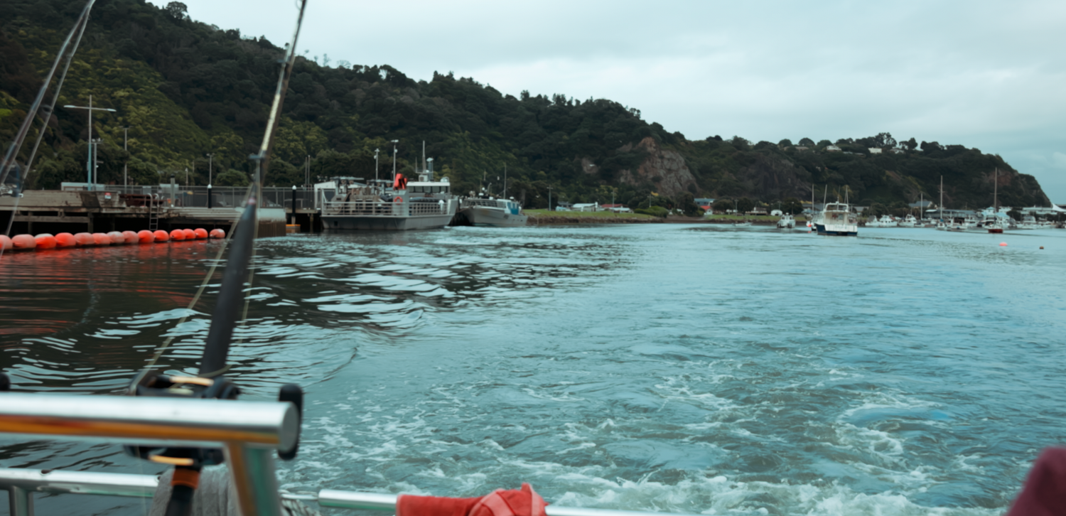 Sydney Sutherland Documentary and Film Harbor view with boats anchored along a tree-lined coastal shore.