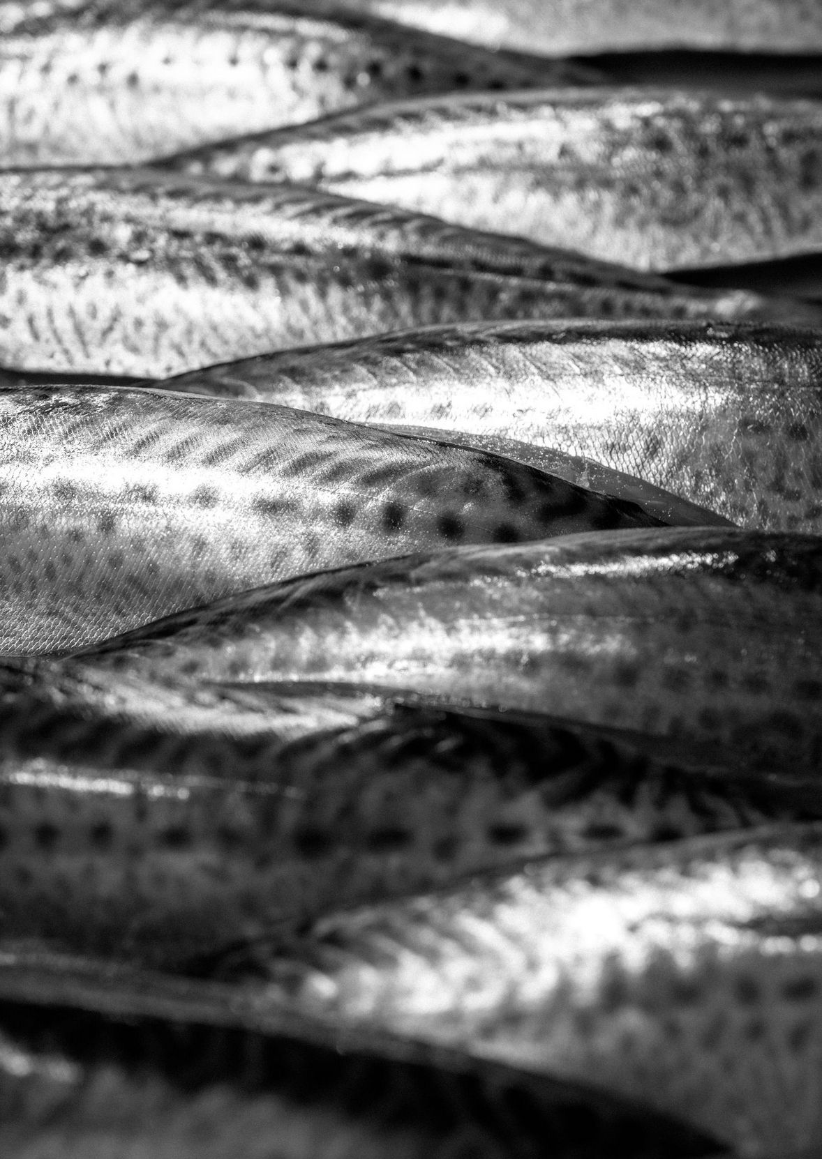 Food and product photography and videography Black and white macro shot of fish scales showing intricate natural patterns.