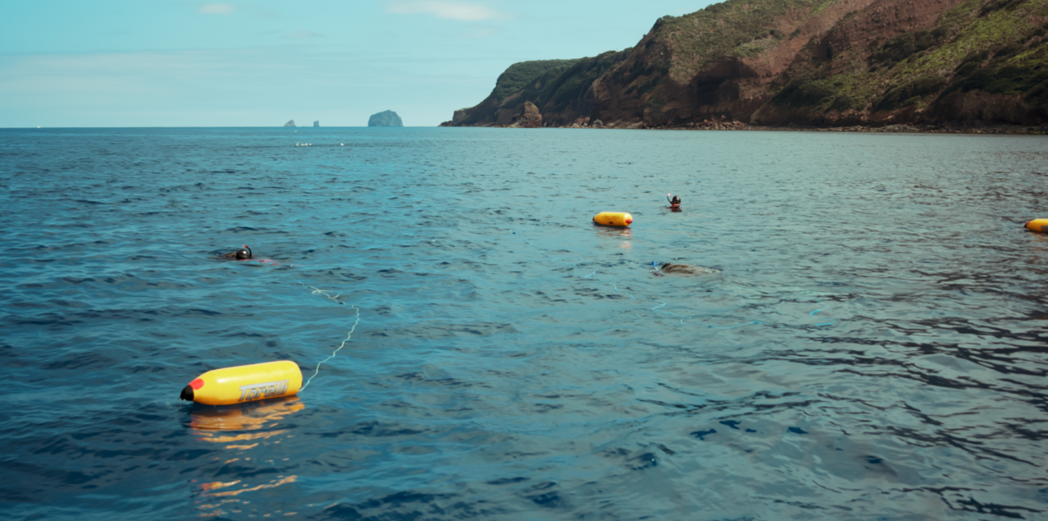 Sydney Sutherland Underwater documentary Calm ocean waters with yellow buoys floating near rocky coastal cliffs.