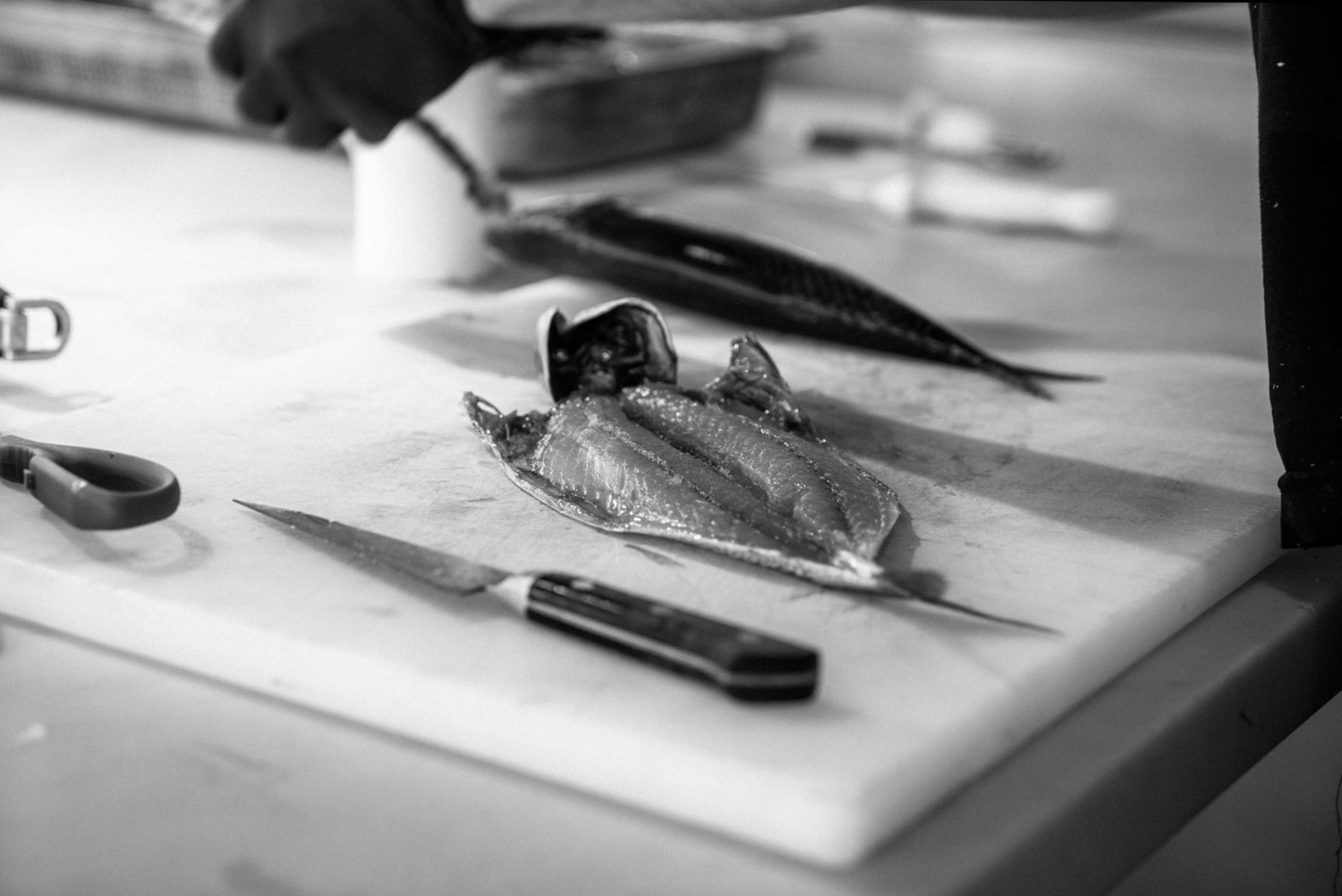 Food and product photography and videography Close-up of a chef's hands skillfully preparing ingredients on a cutting board.