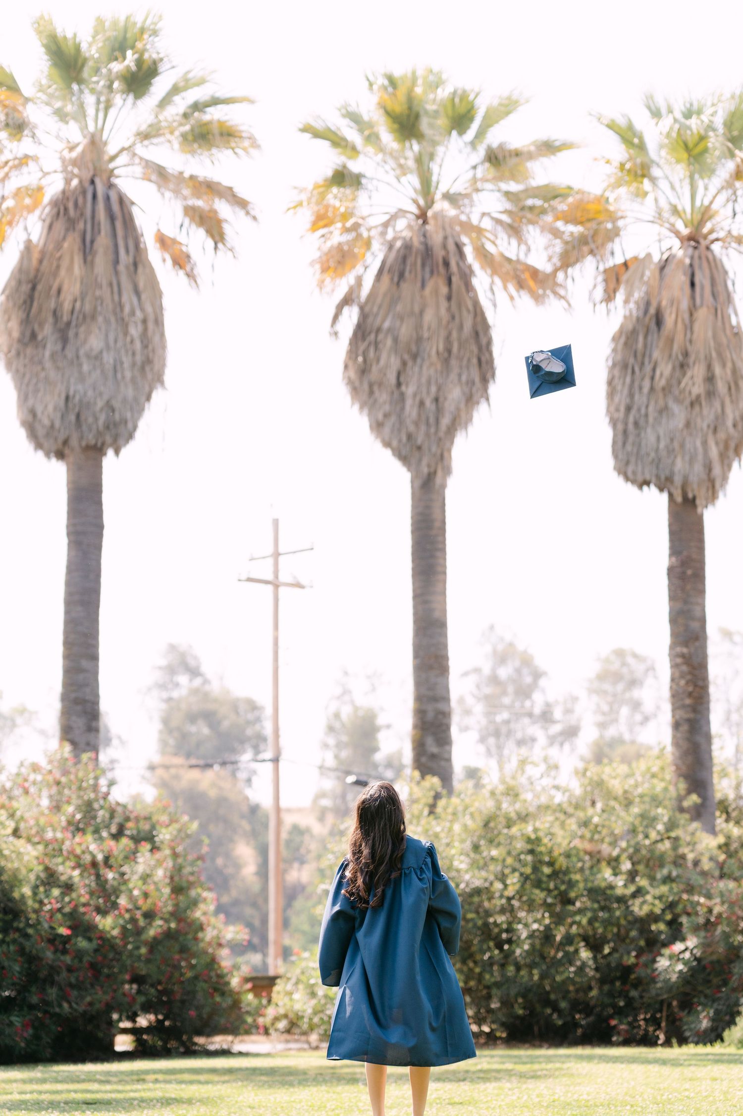 Graduate in blue gown tosses cap into air among tall palm trees on sunny day.