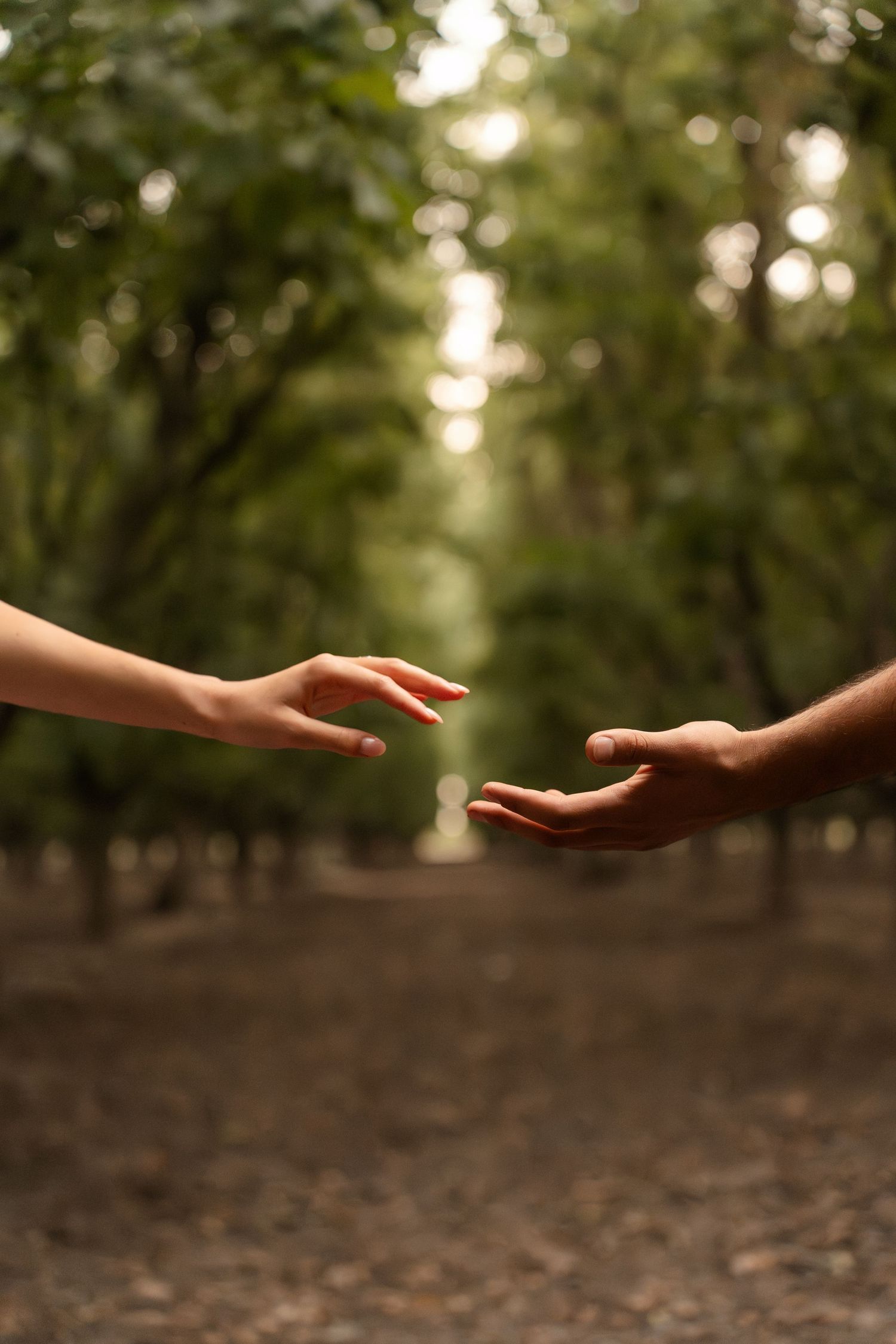 Two hands reaching towards each other in a forest setting with soft bokeh lighting in the background.