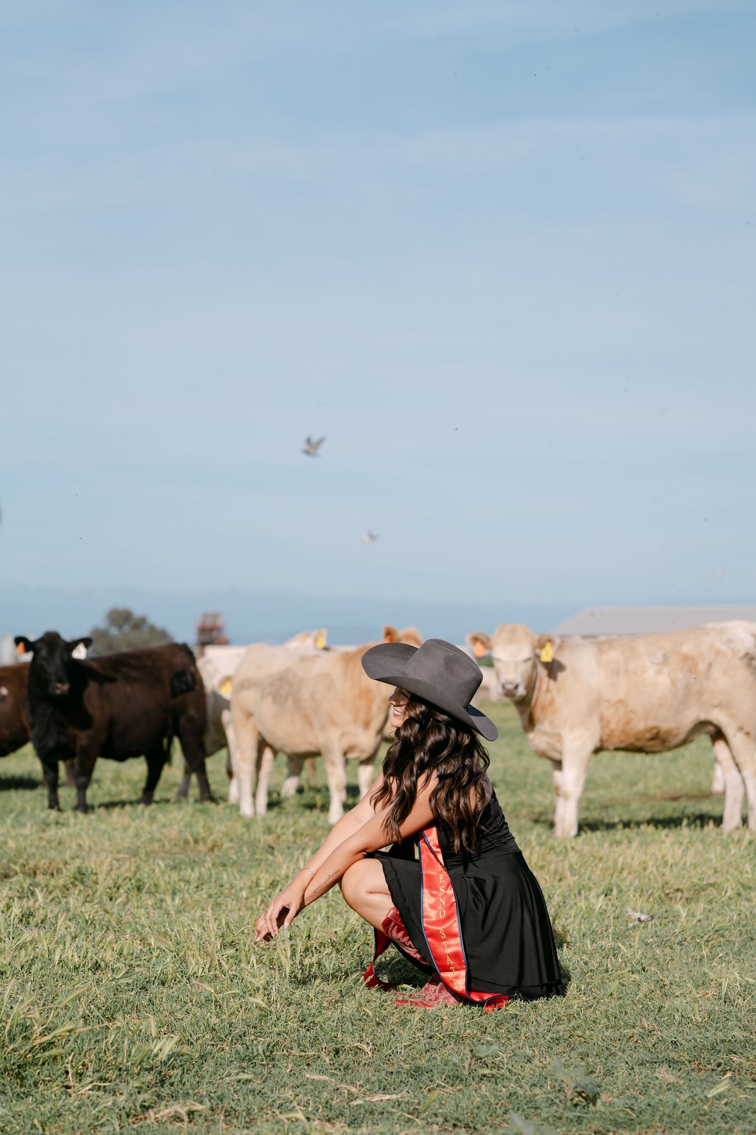Woman in black dress and cowboy hat crouching in green field with cattle grazing behind her under blue sky.