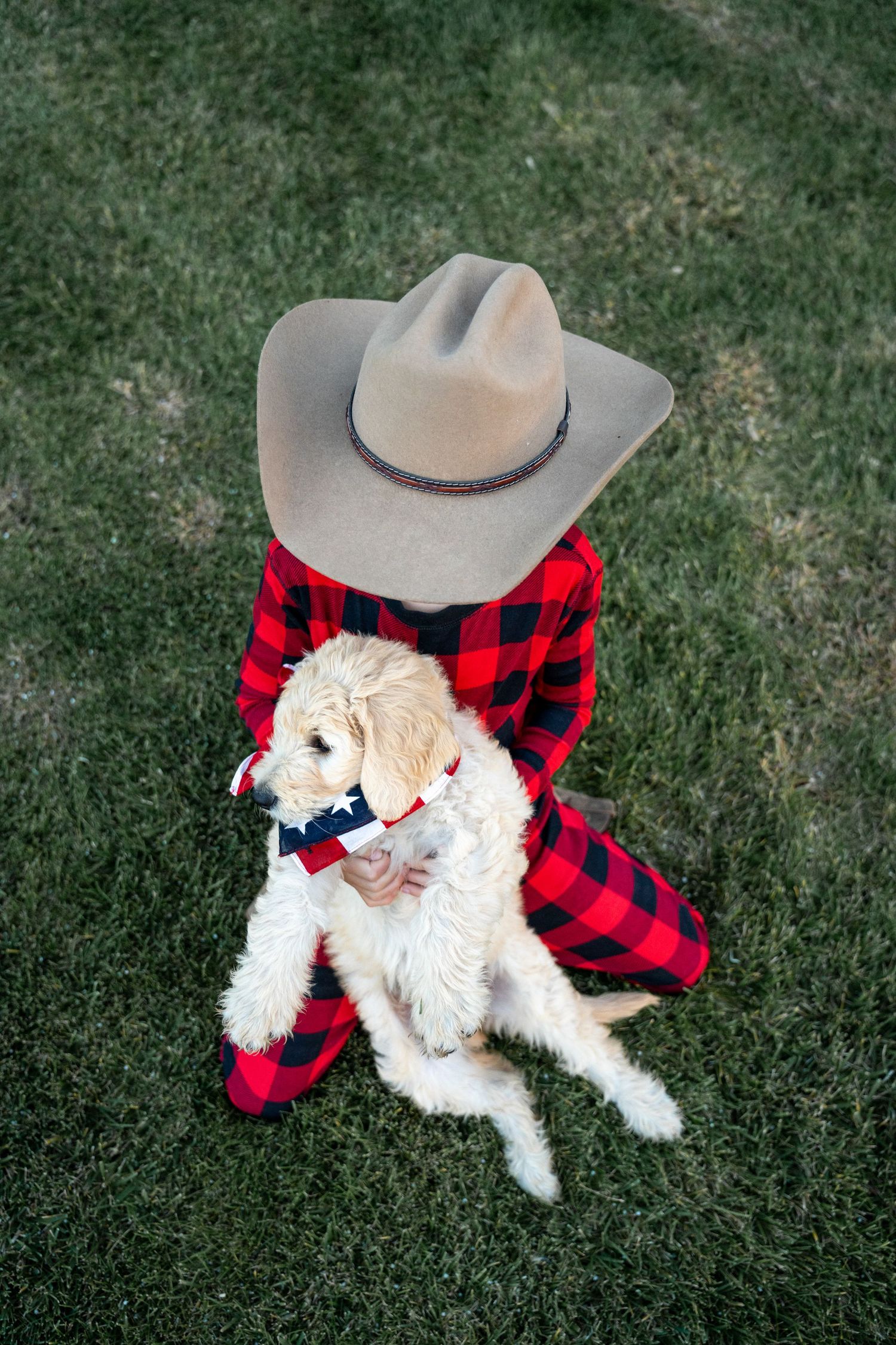 White fluffy dog lying on grass with someone wearing red plaid and a gray cowboy hat.