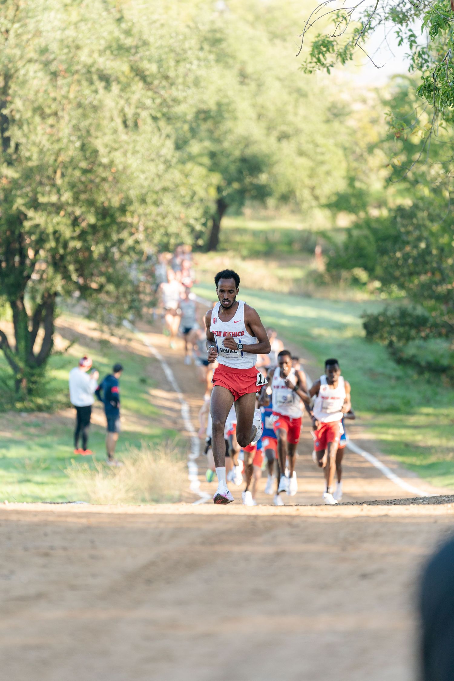 People exercising and running on a dirt trail through a green park on a sunny day.